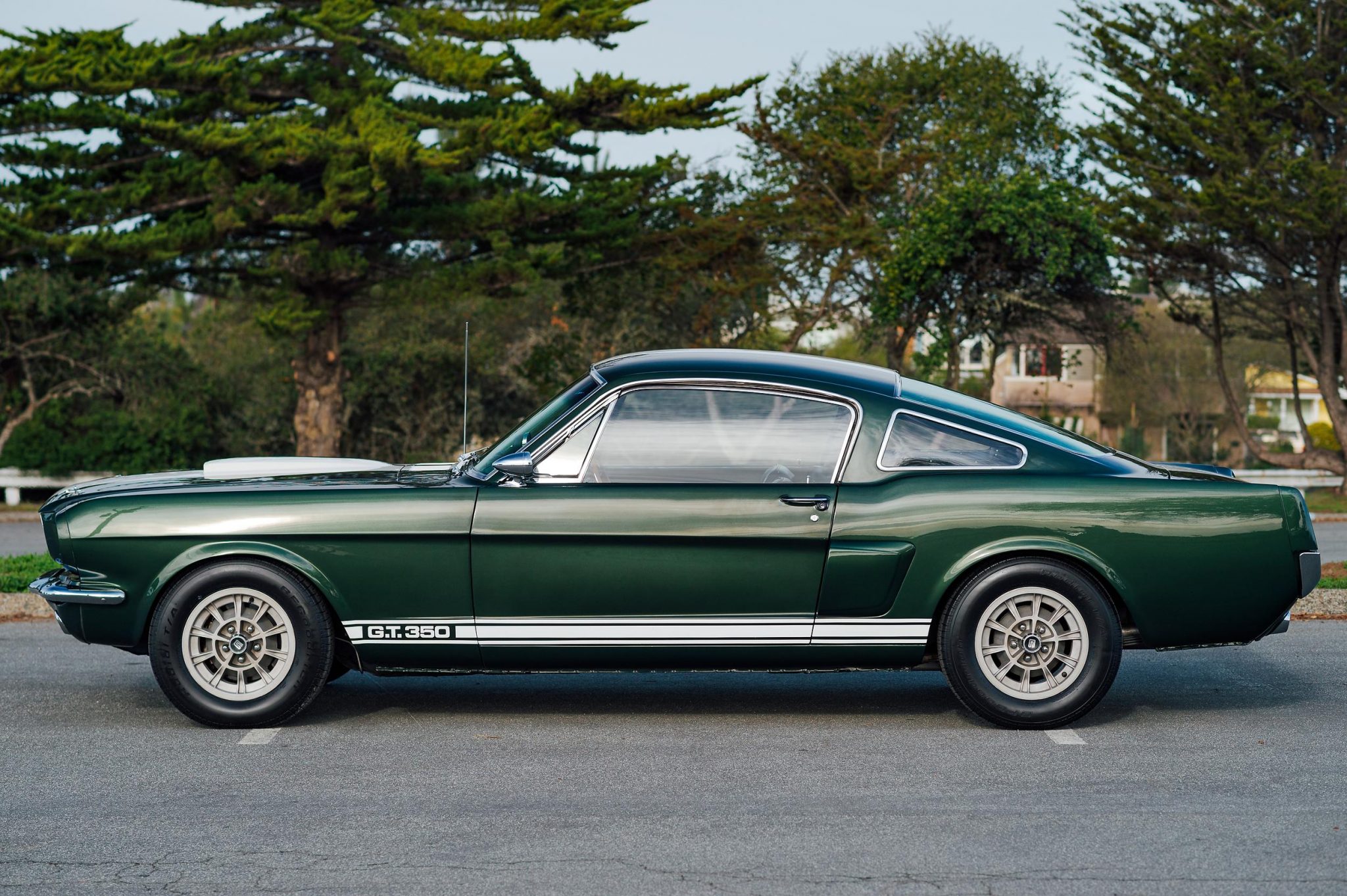 Shelby Mustang GT350 & GT500 