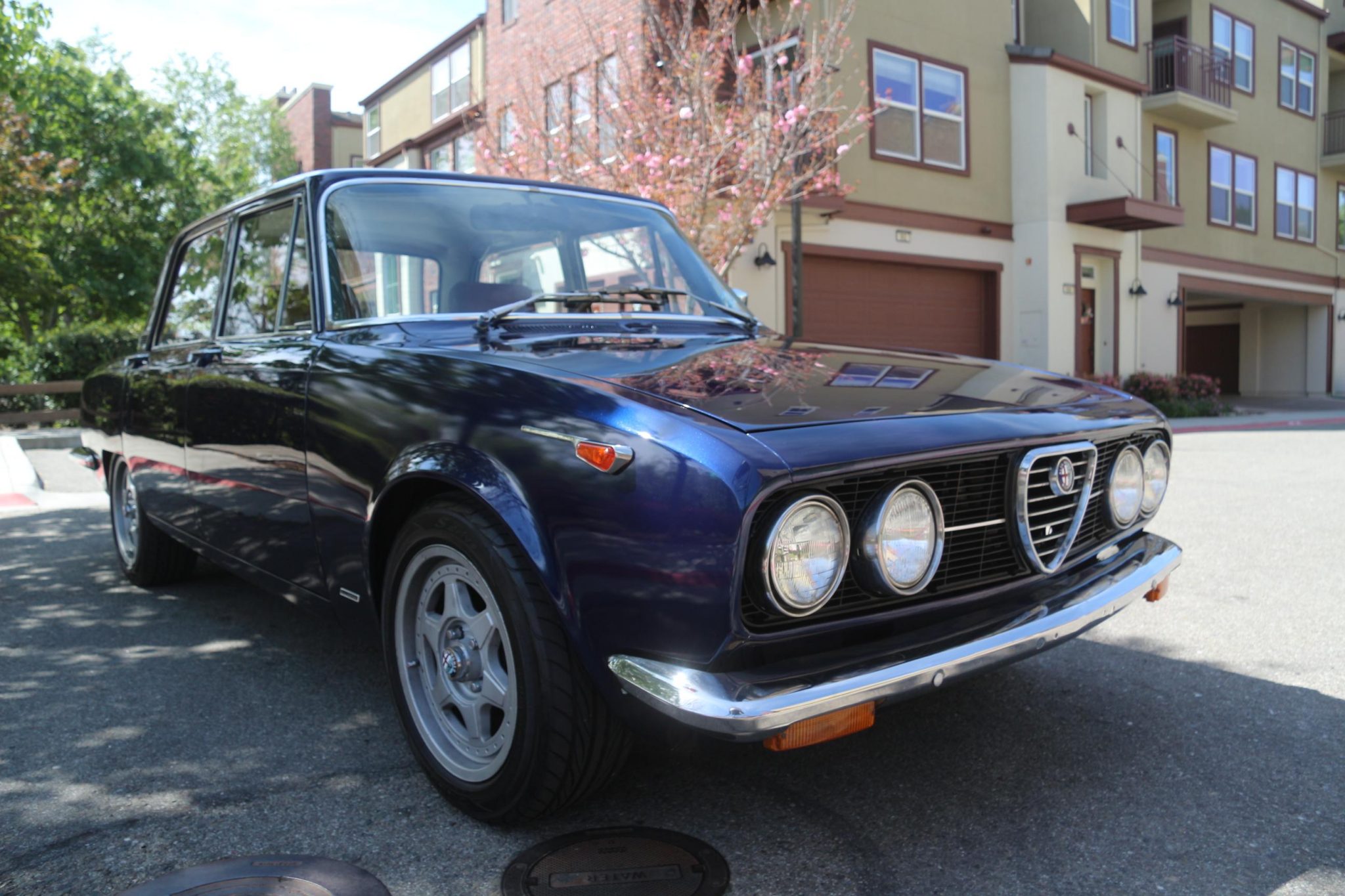 Alfa Romeo 105 Series Sedan 