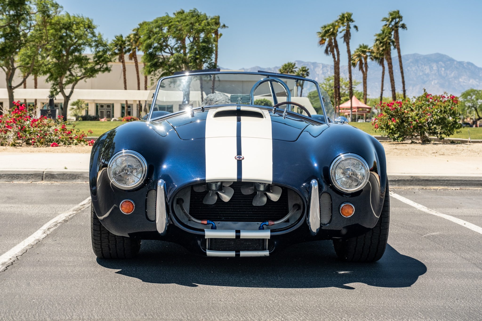 Shelby Cobra Replica 