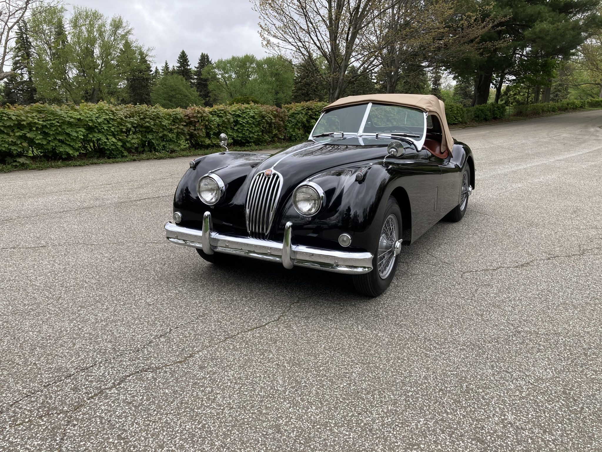 Jaguar XK140 