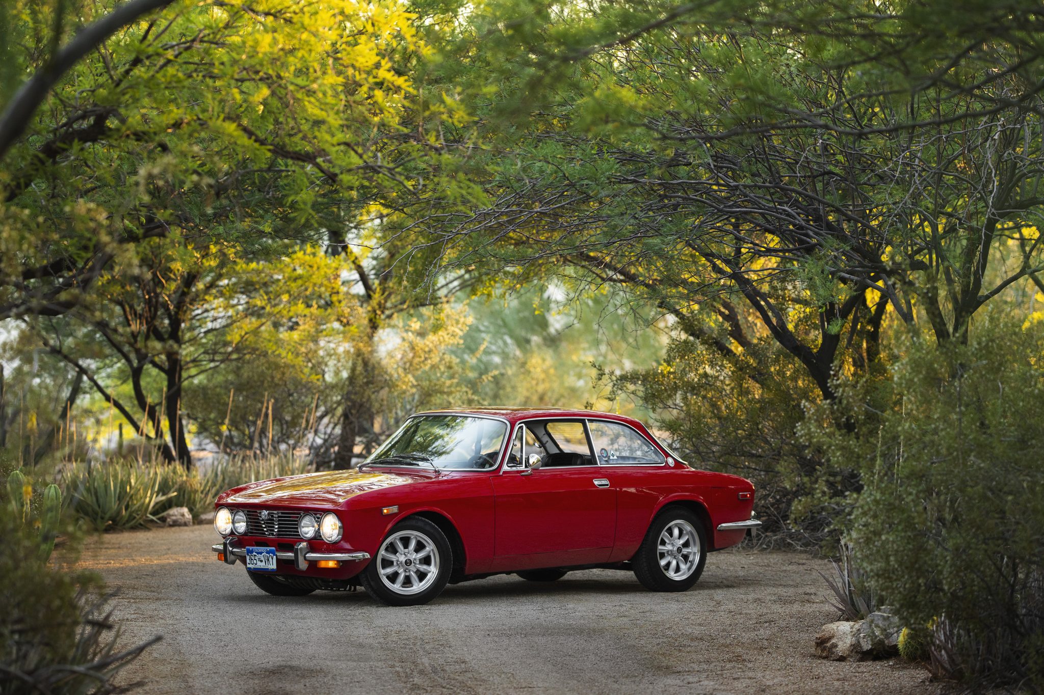 Alfa Romeo 105/115 Series Coupe 