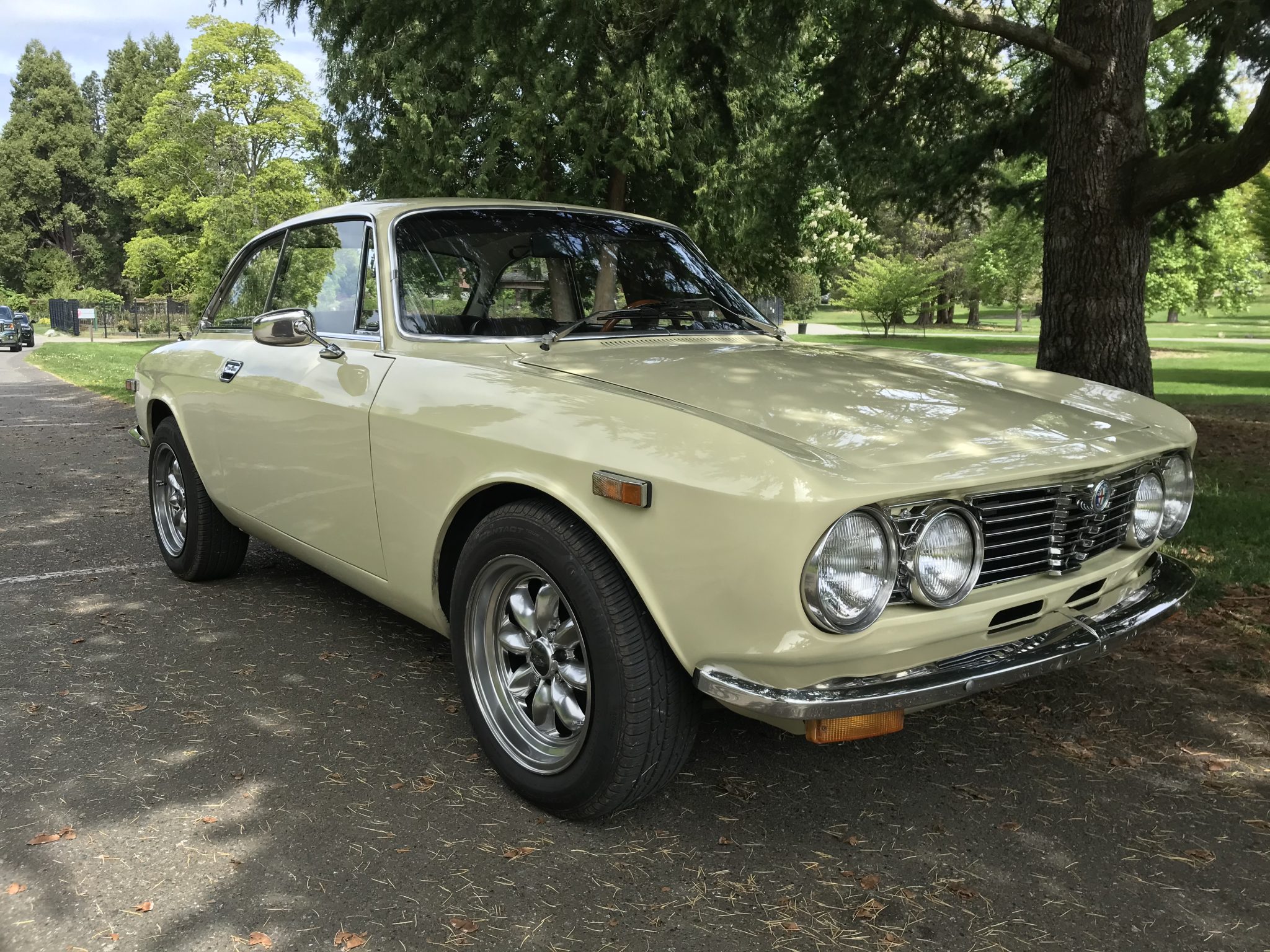 Alfa Romeo 105/115 Series Coupe 