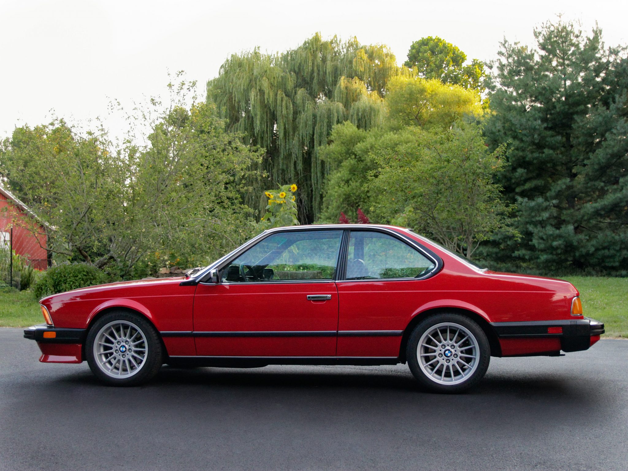 BMW E24 6-Series 