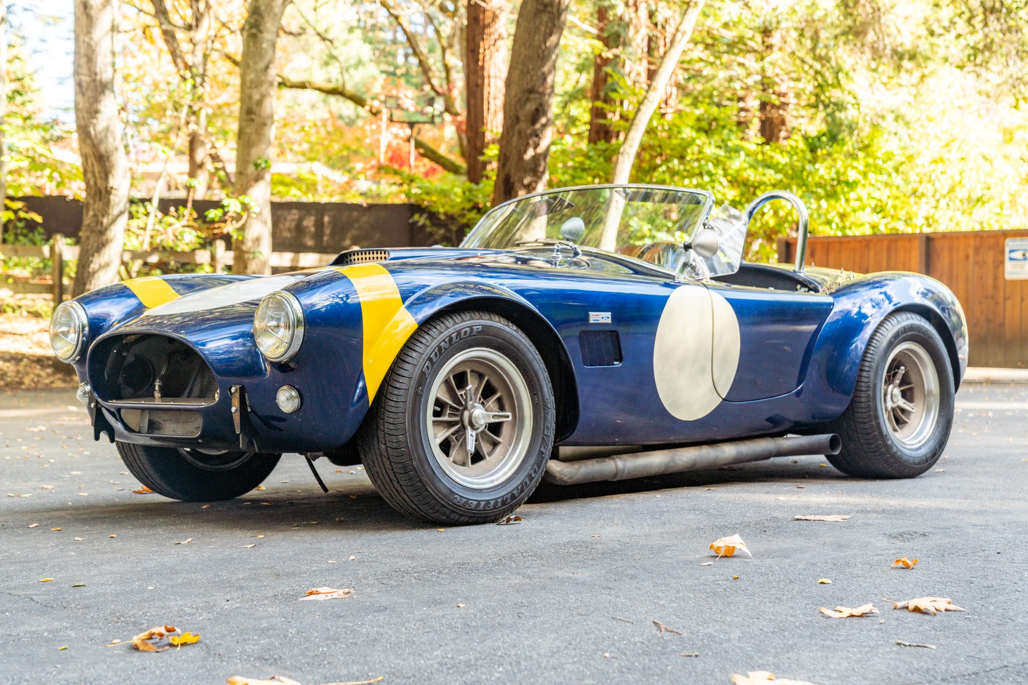 Shelby Cobra Replica 