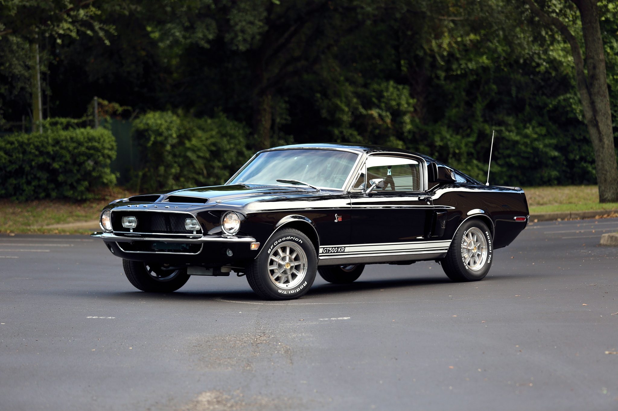Shelby Mustang GT350 & GT500 