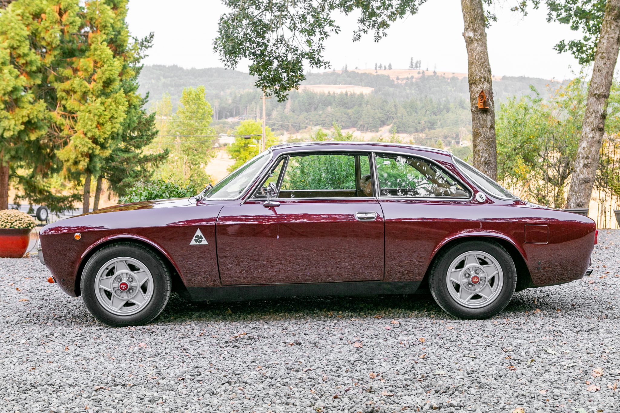 Alfa Romeo 105/115 Series Coupe 