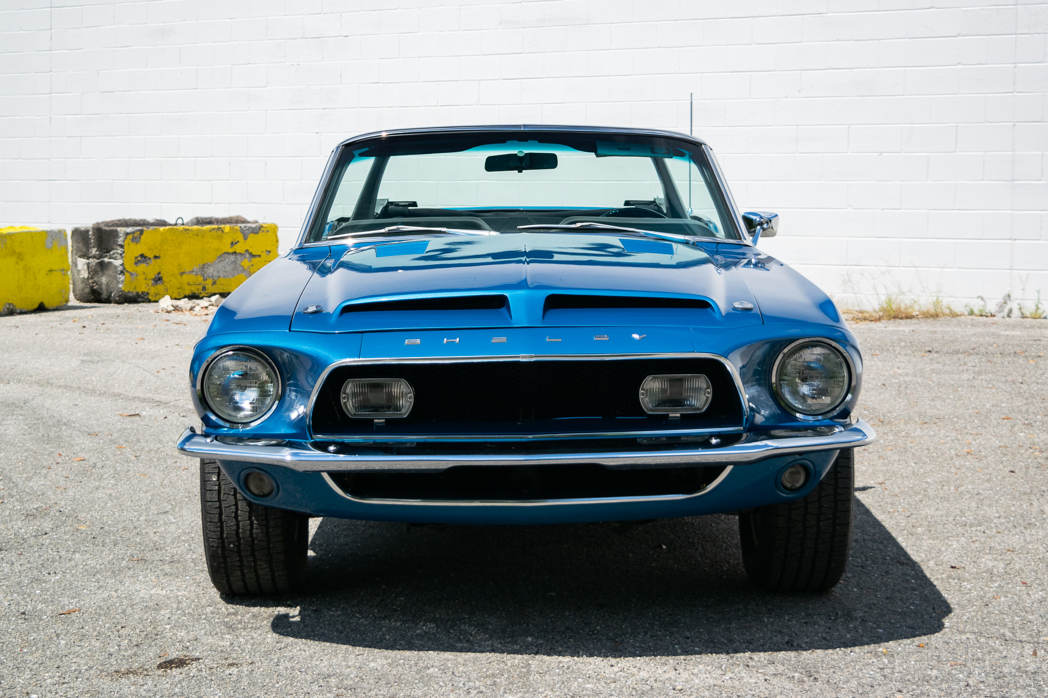 Shelby Mustang GT350 & GT500 