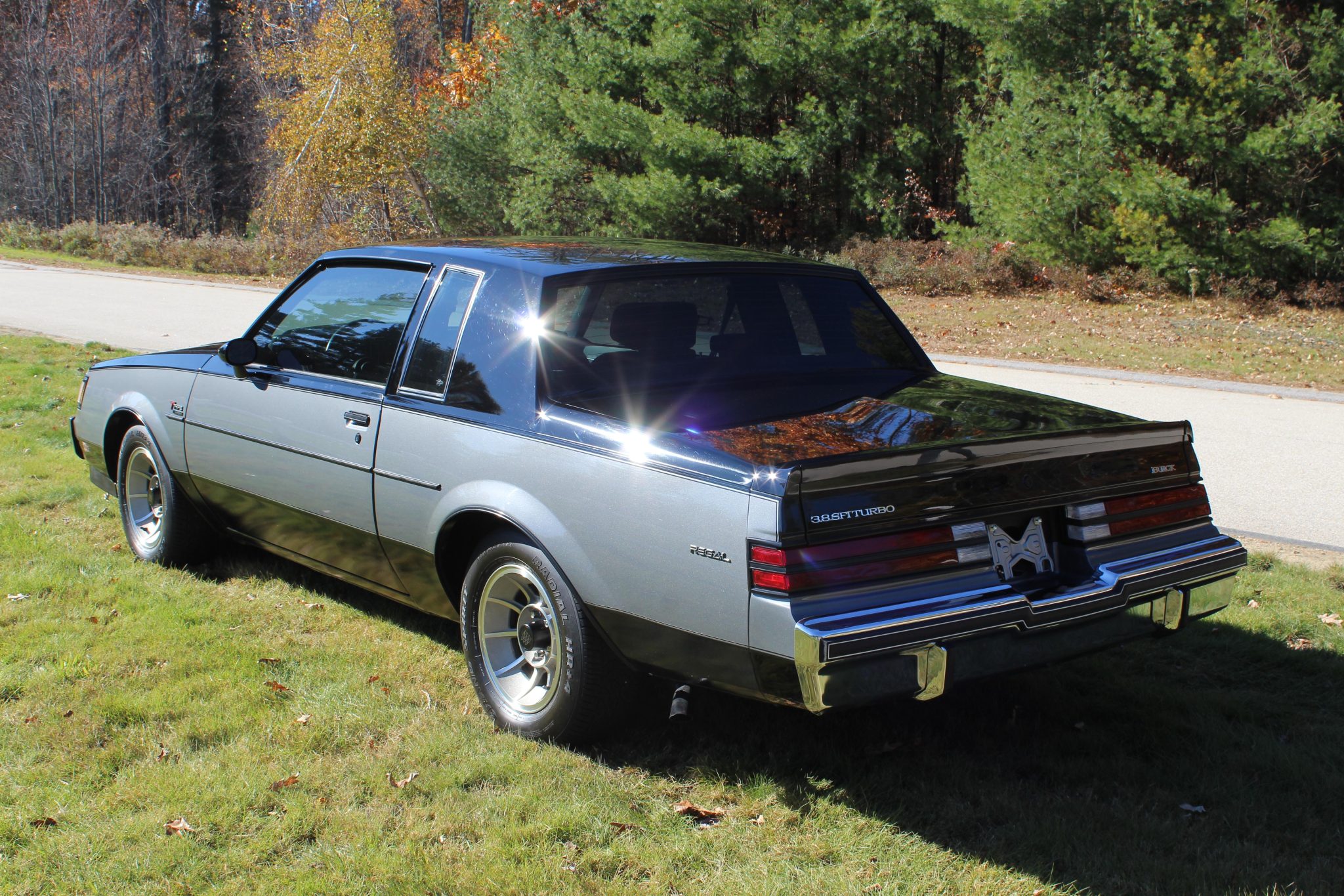 Buick Regal T-Type & Turbo-T 