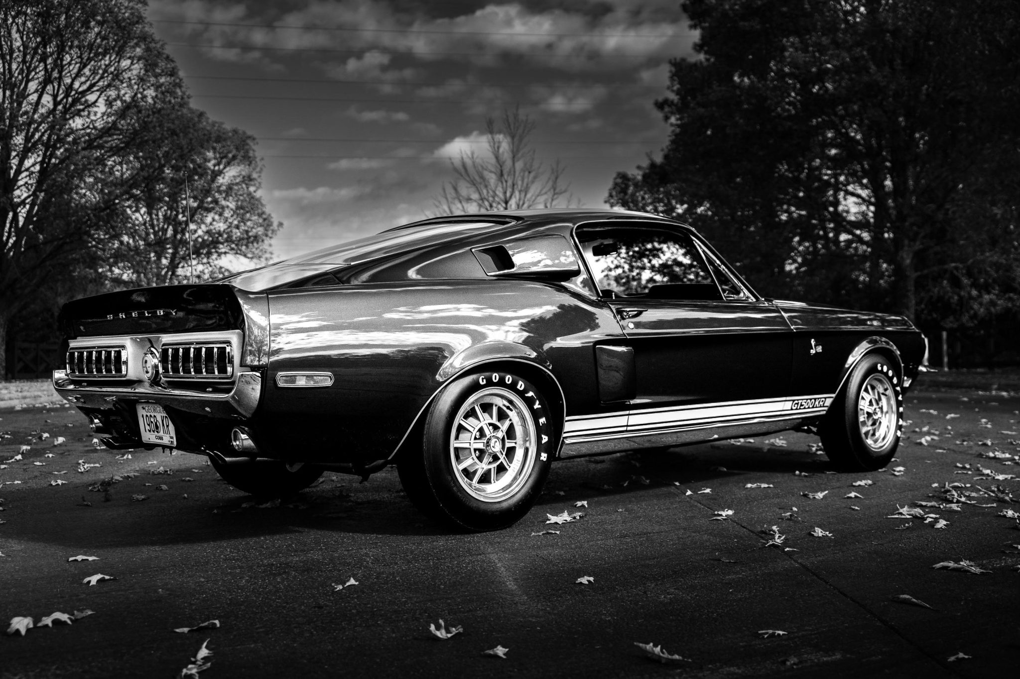 Shelby Mustang GT350 & GT500 