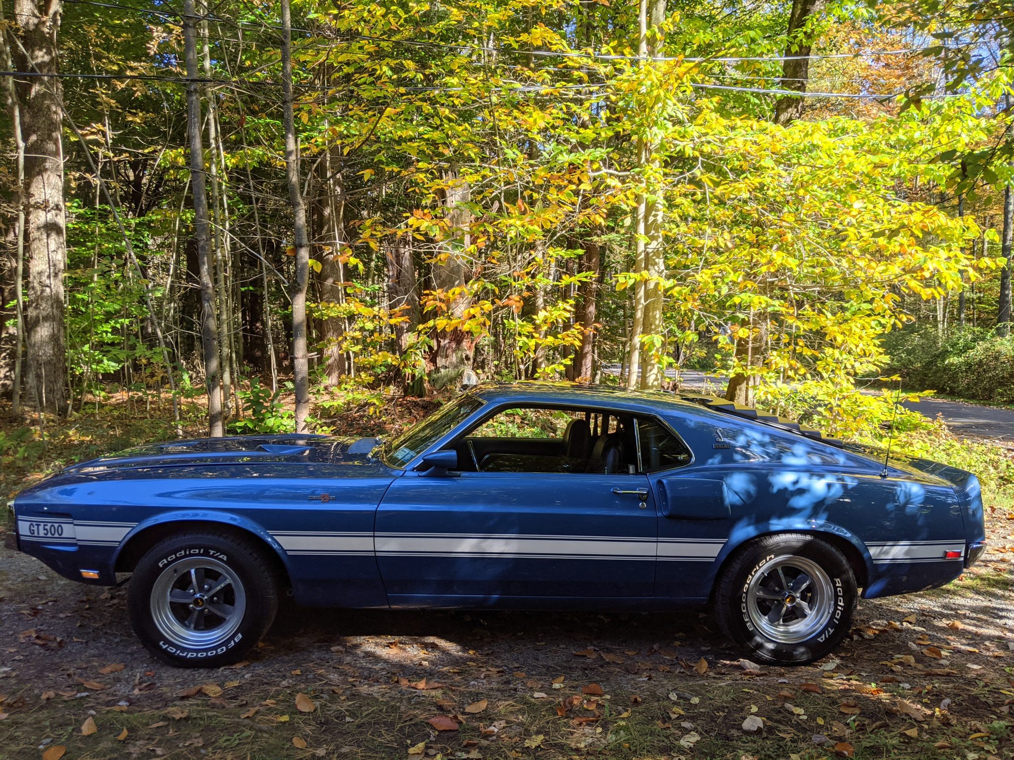 Shelby Mustang GT350 & GT500 
