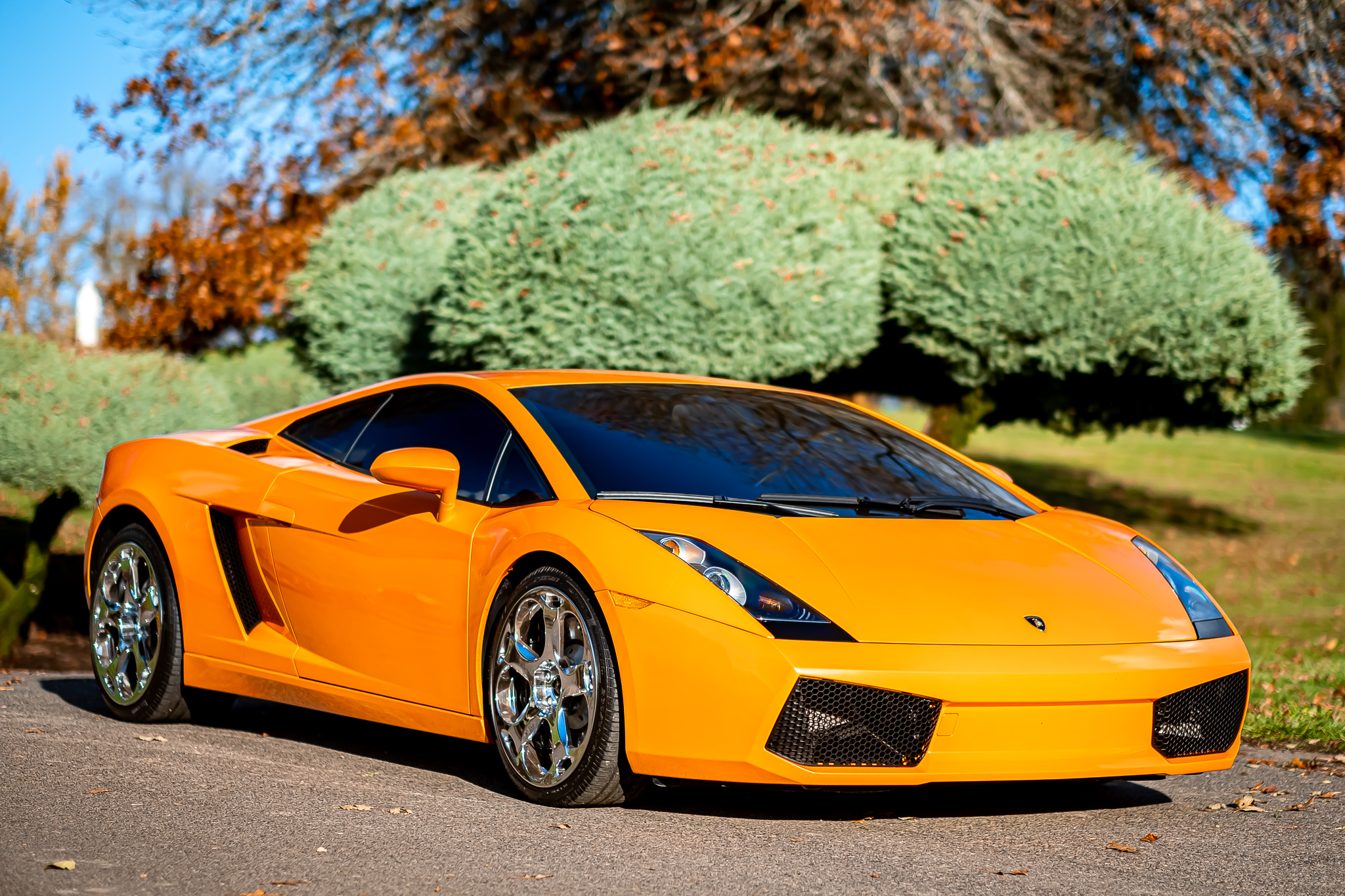 Lamborghini Gallardo 