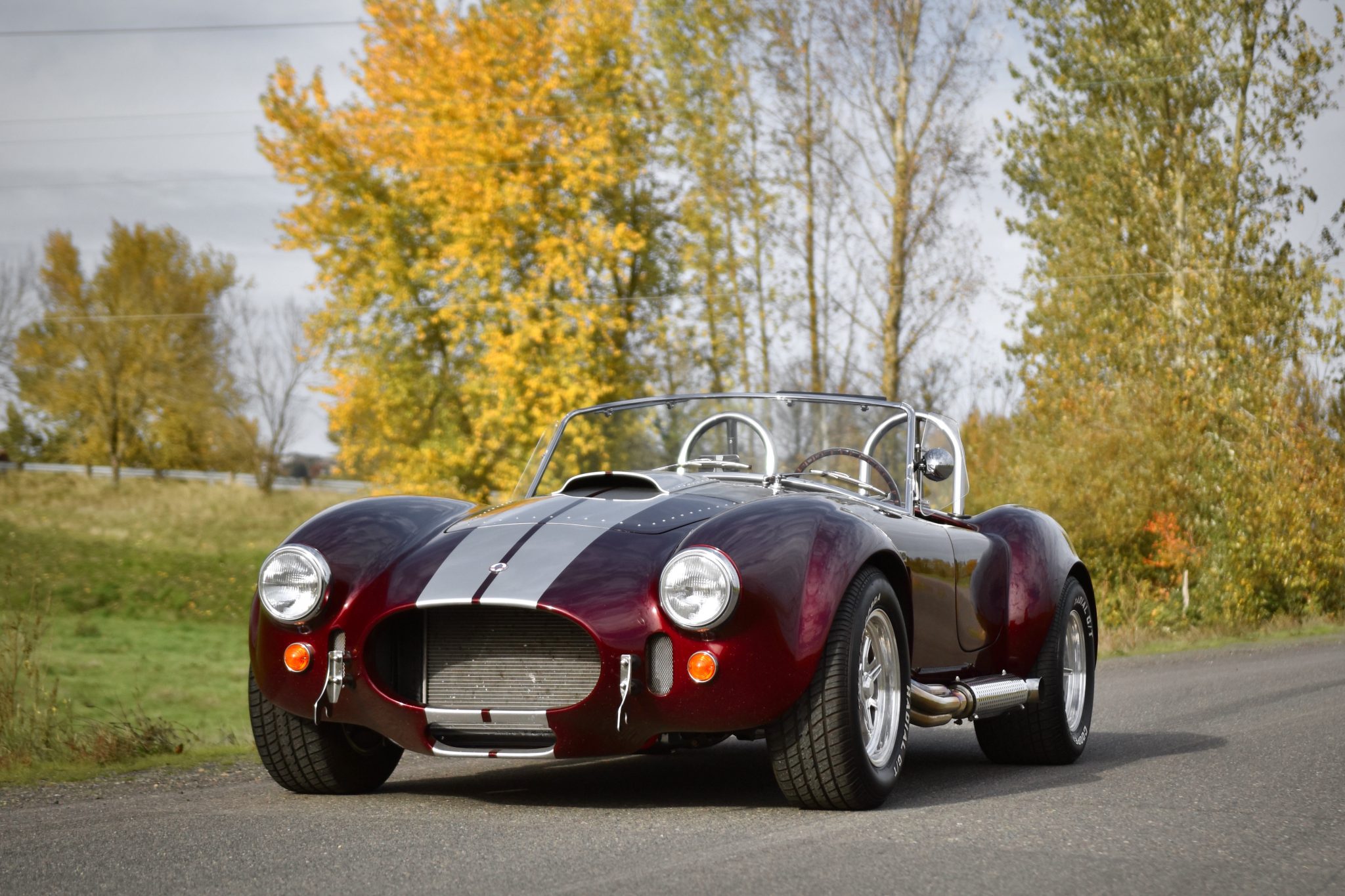 Shelby Cobra Replica 