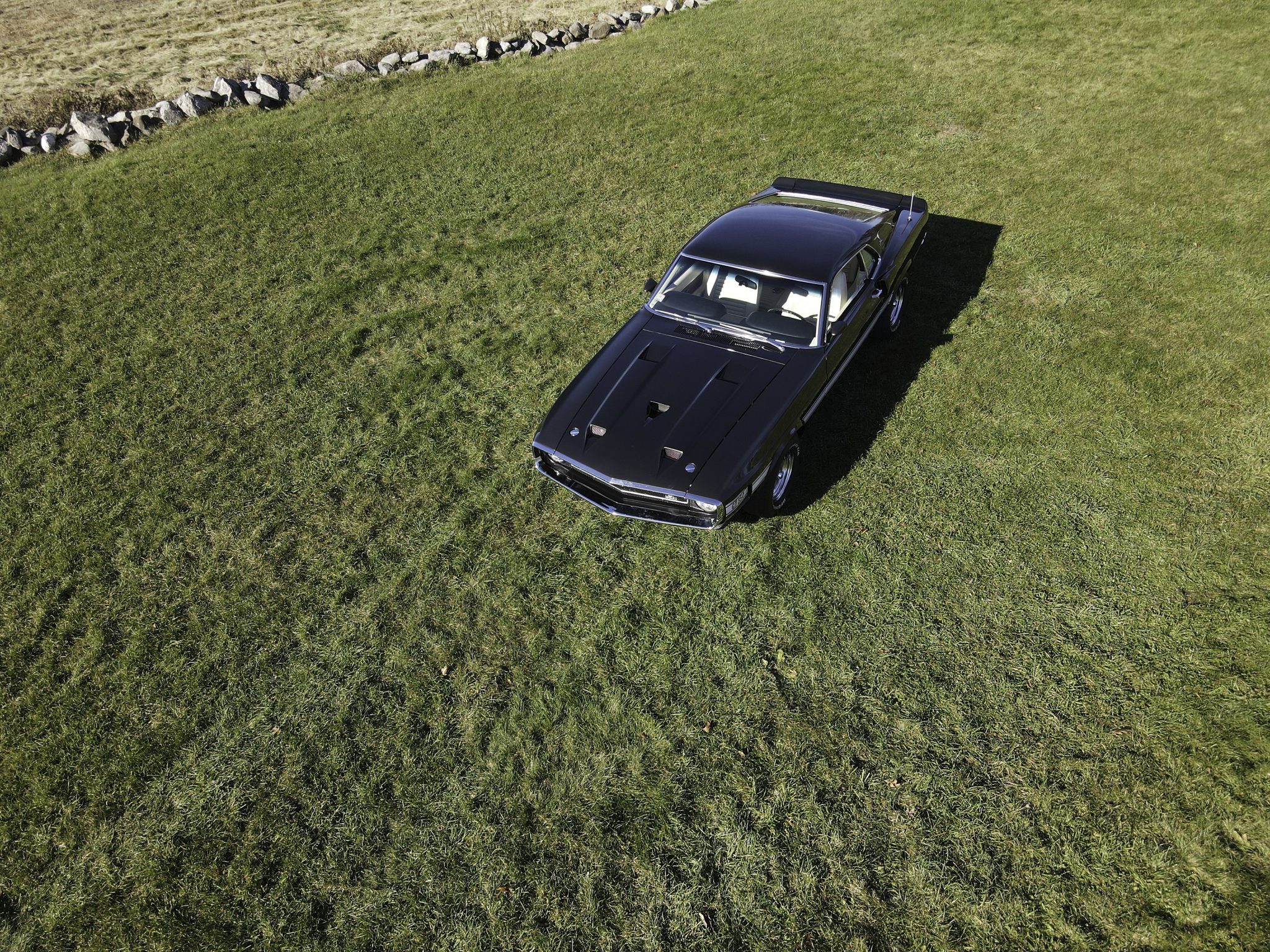 Shelby Mustang GT350 & GT500 