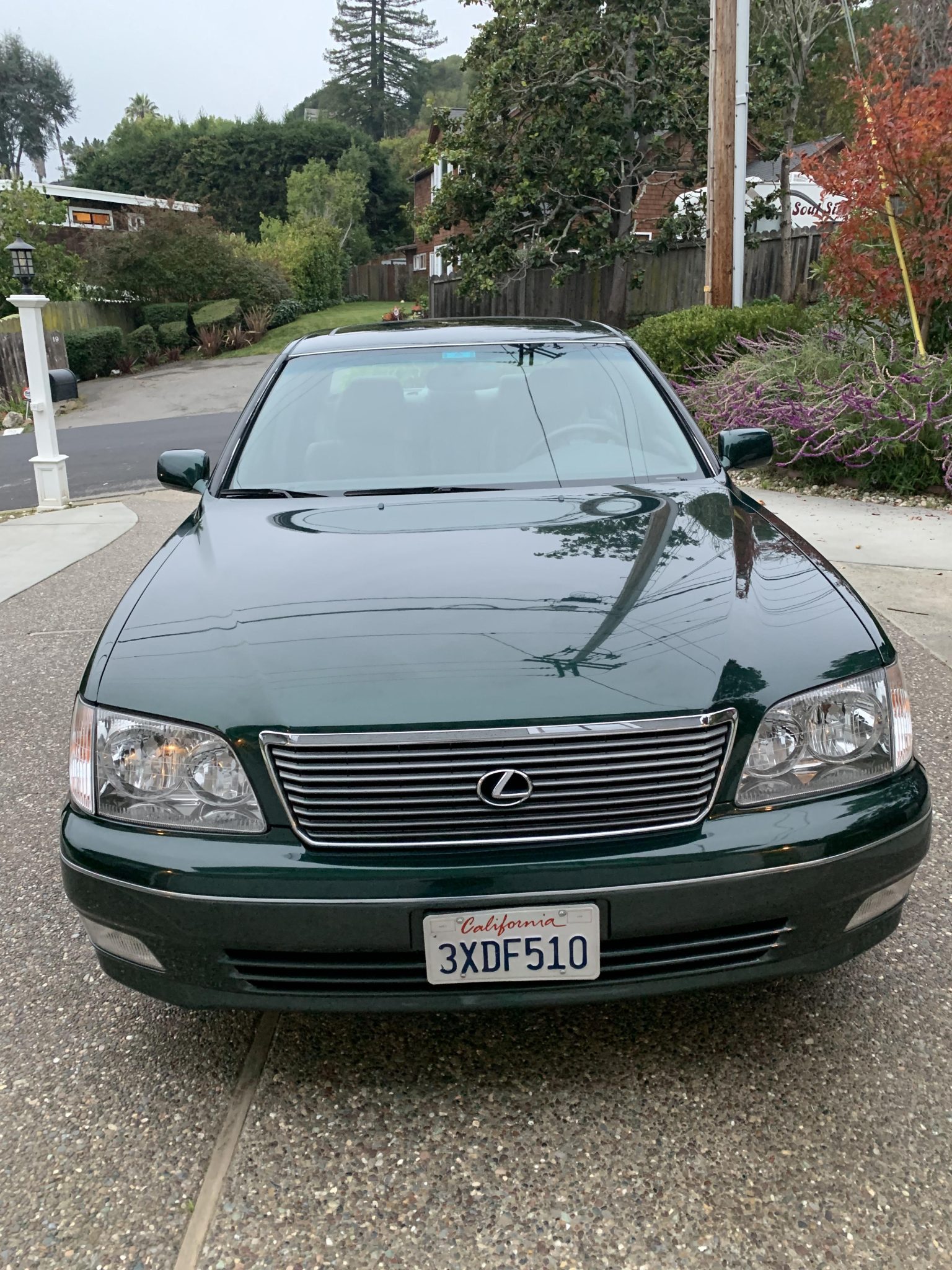 Lexus LS Sedan 