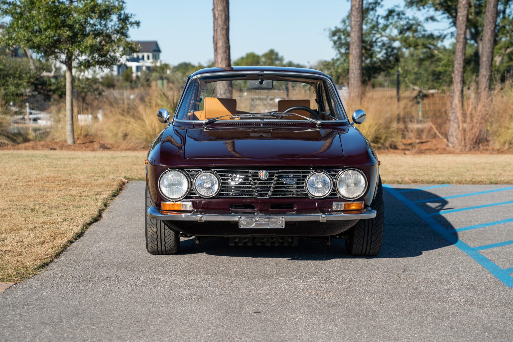 Alfa Romeo 105/115 Series Coupe 