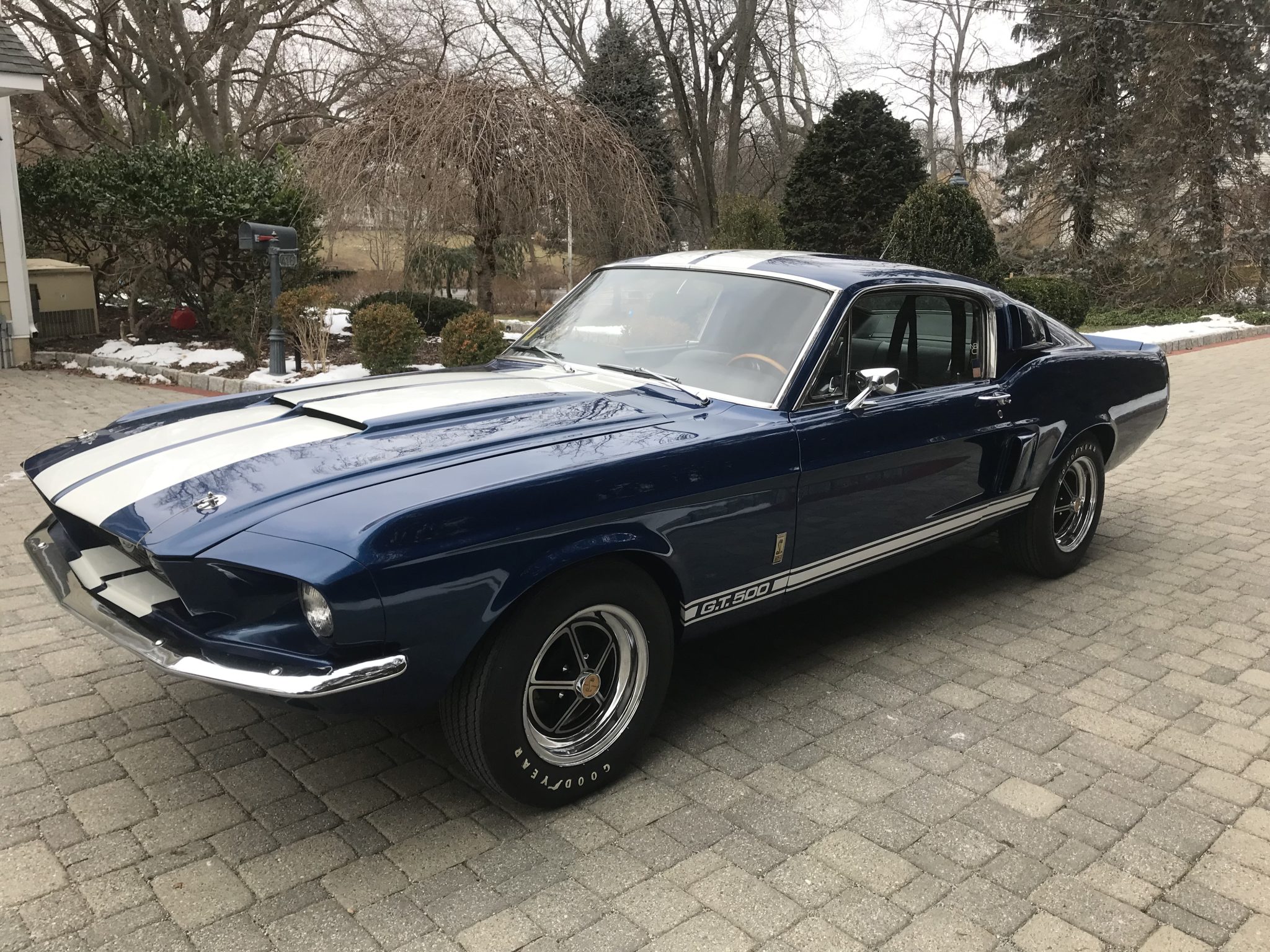 Shelby Mustang GT350 & GT500 