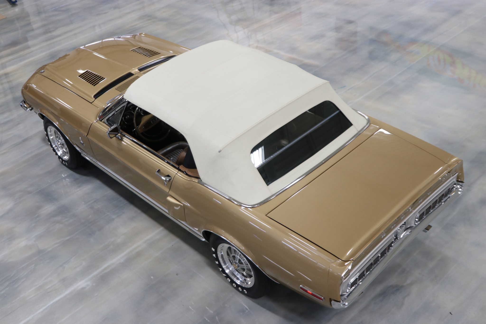 Shelby Mustang GT350 & GT500 