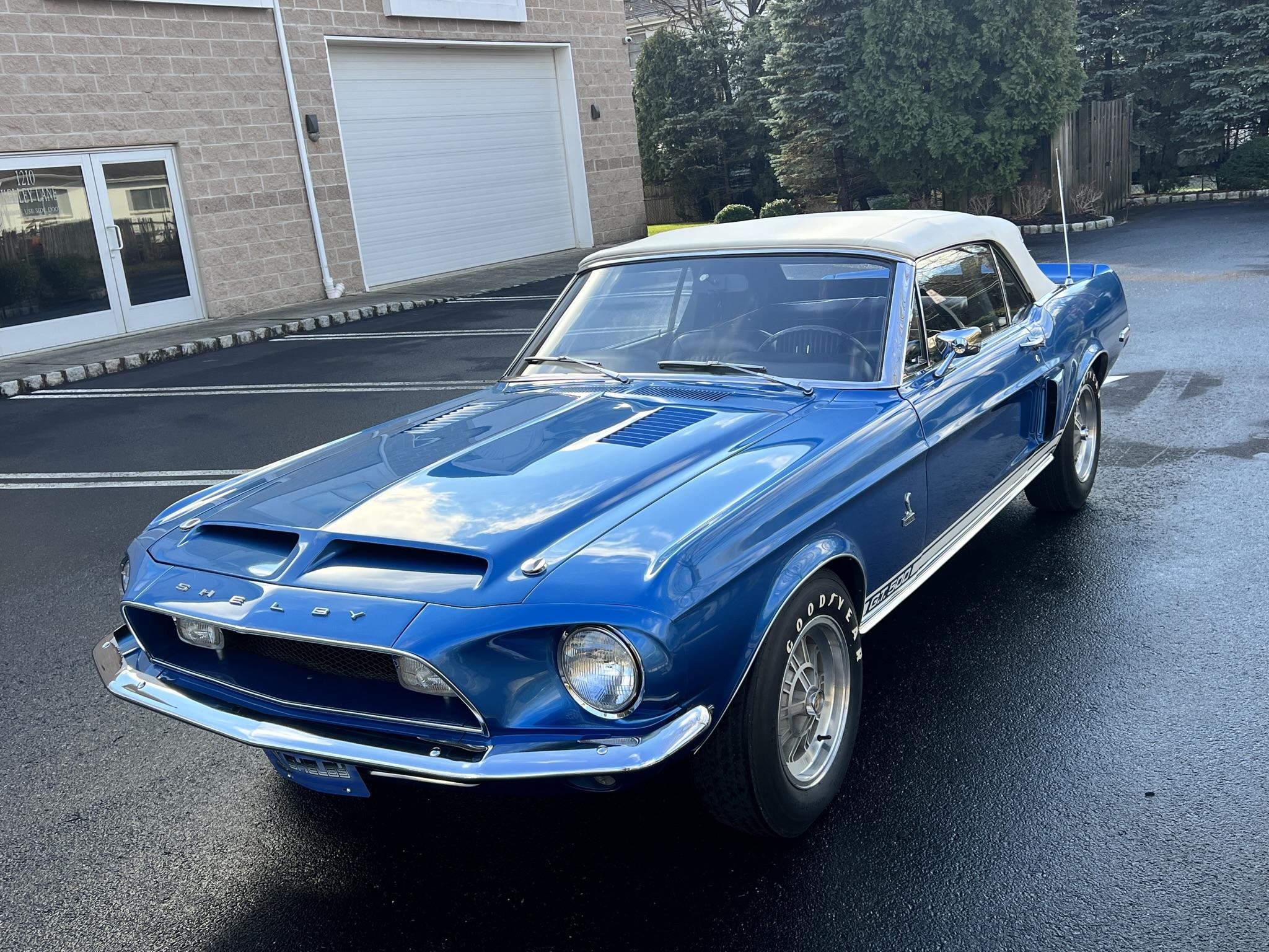 Shelby Mustang GT350 & GT500 