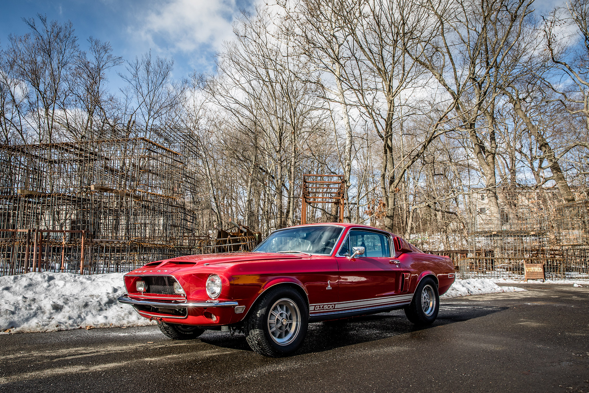Shelby Mustang GT350 & GT500 