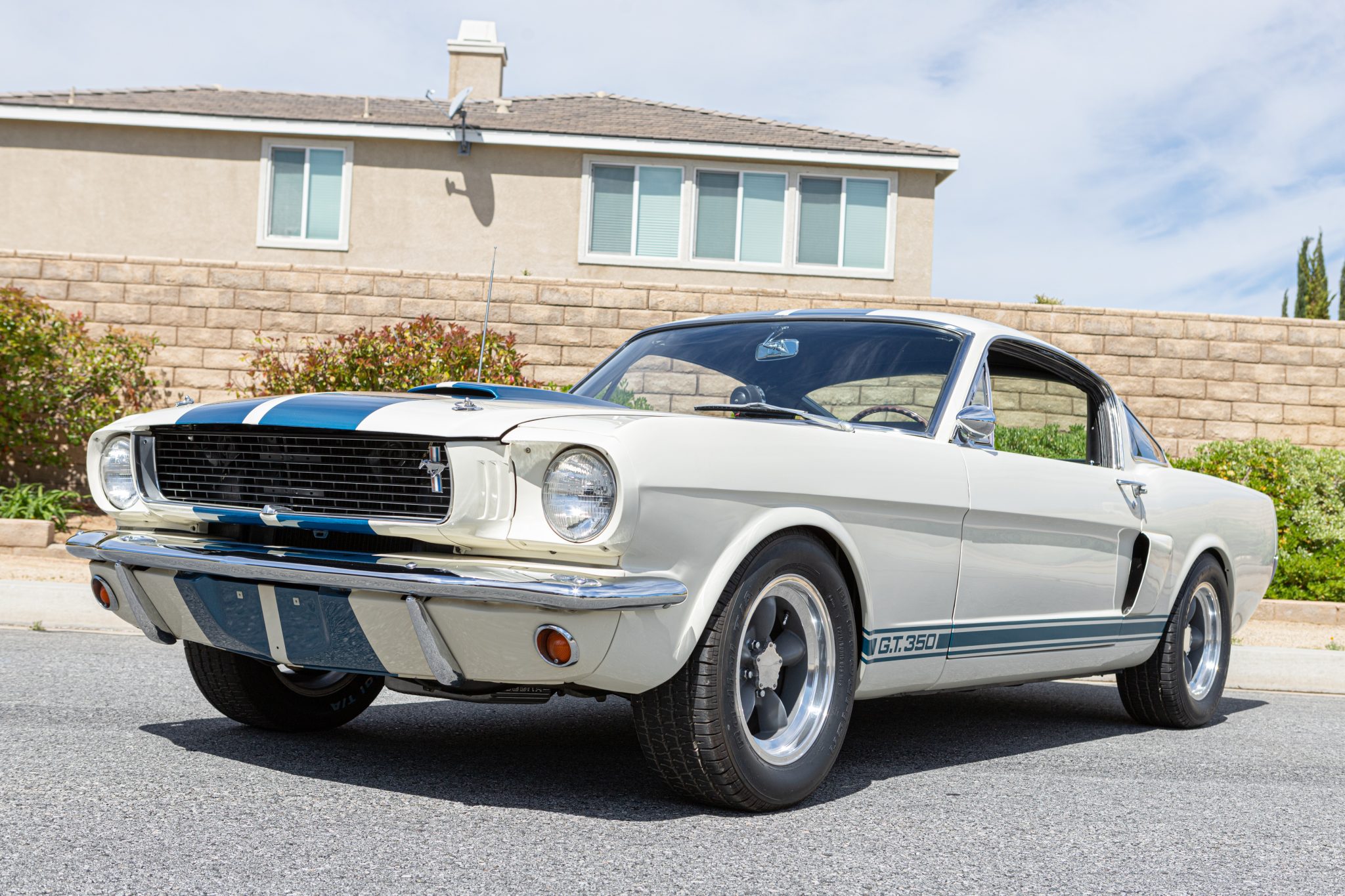 Shelby Mustang GT350 & GT500 