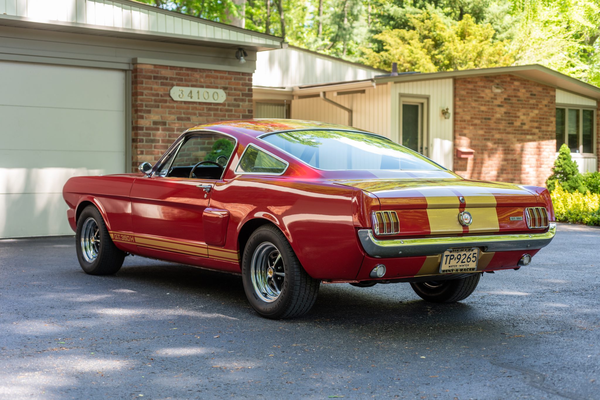 Shelby Mustang GT350 & GT500 