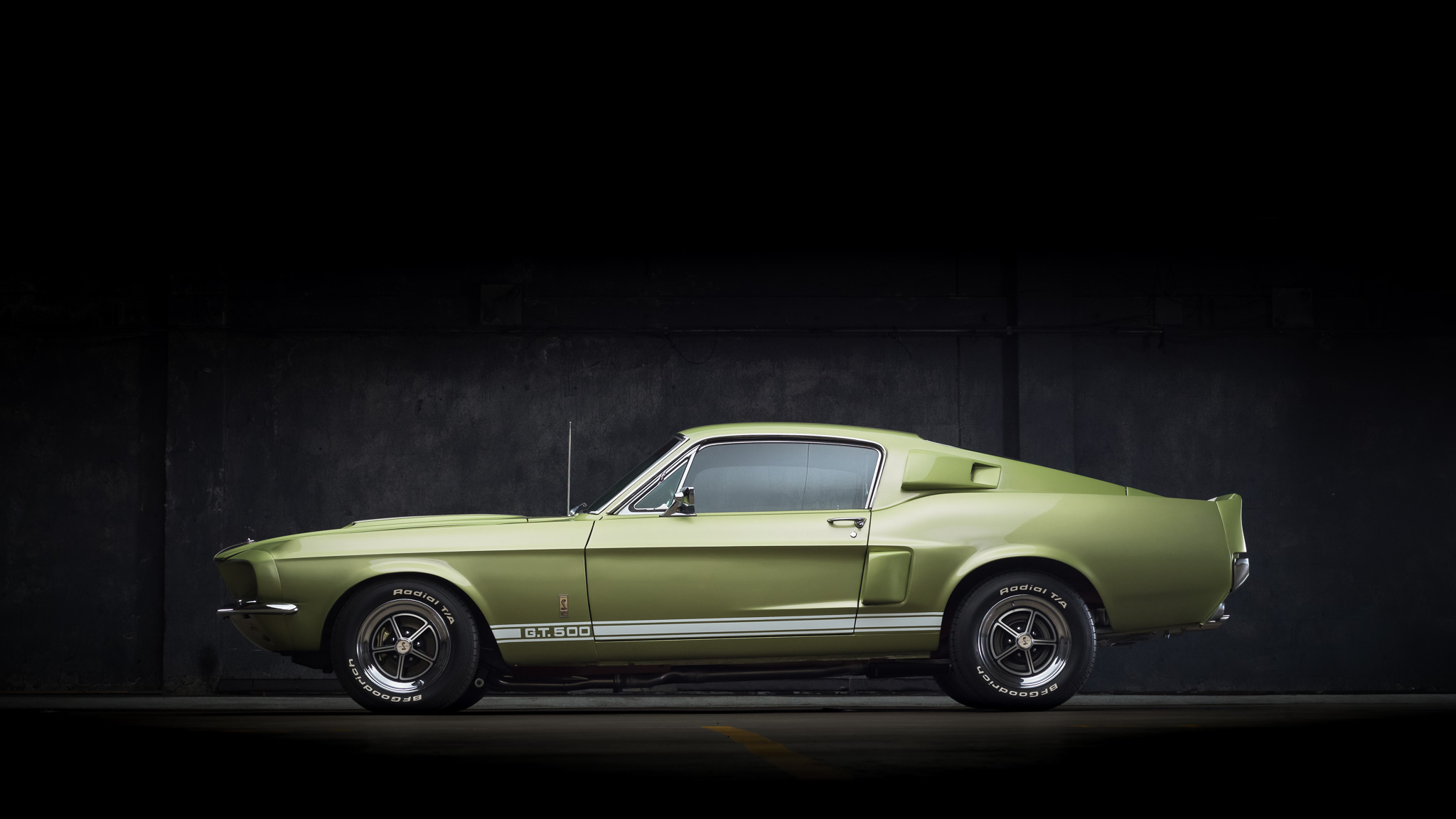 Shelby Mustang GT350 & GT500 