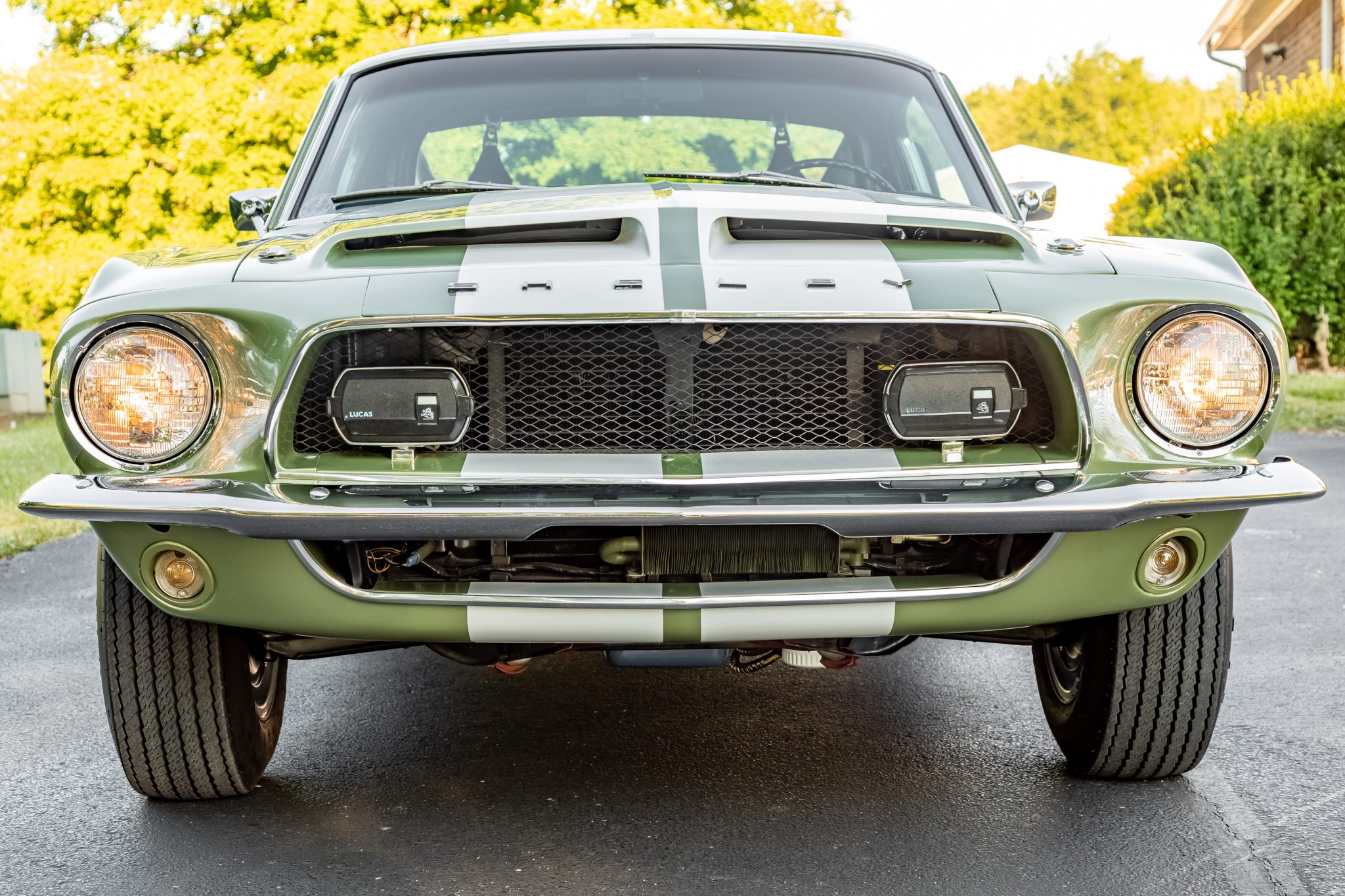 Shelby Mustang GT350 & GT500 
