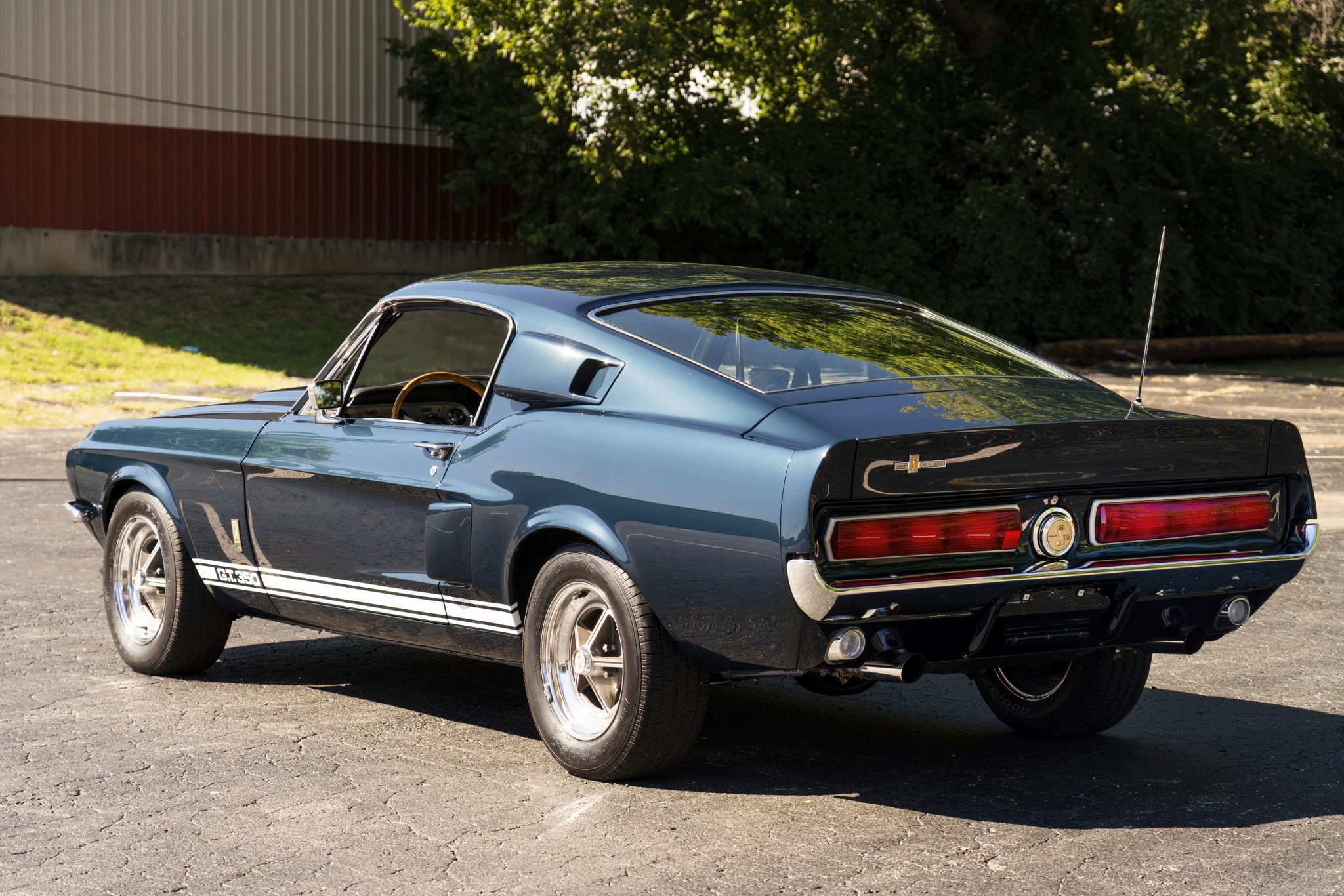 Shelby Mustang GT350 & GT500 
