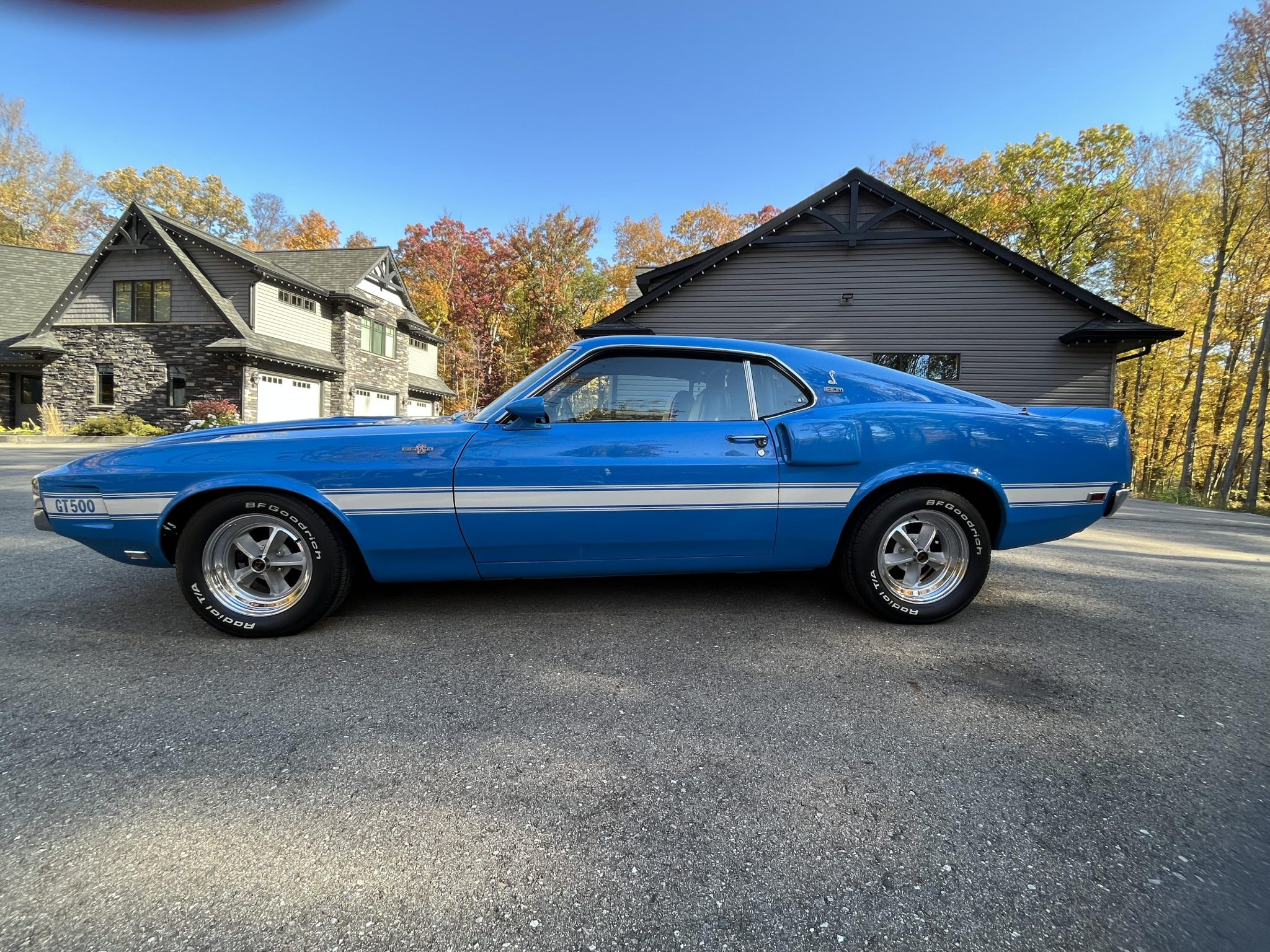 Shelby Mustang GT350 & GT500 