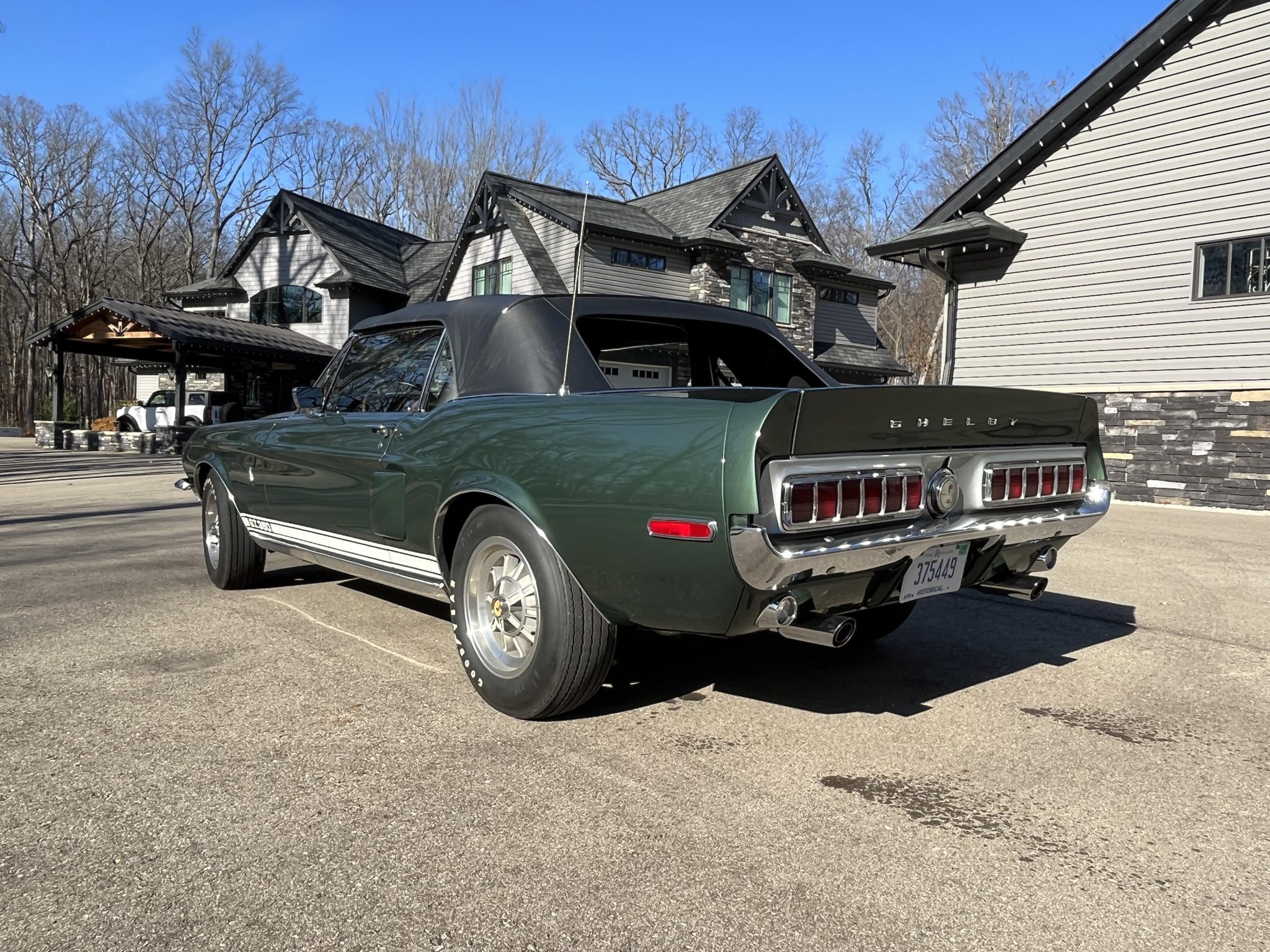 Shelby Mustang GT350 & GT500 