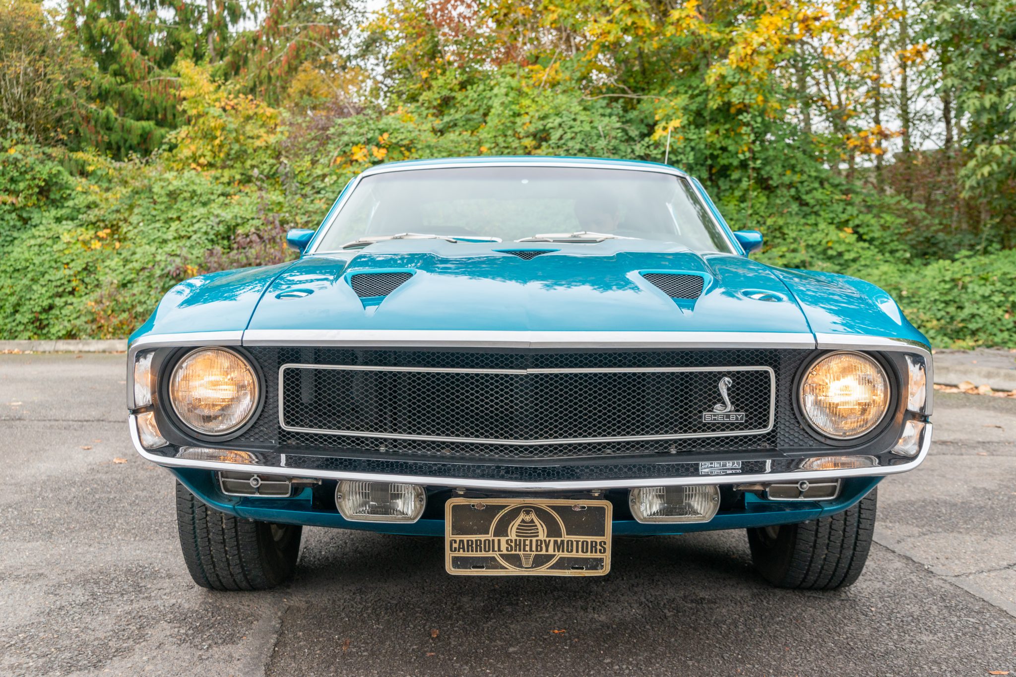 Shelby Mustang GT350 & GT500 