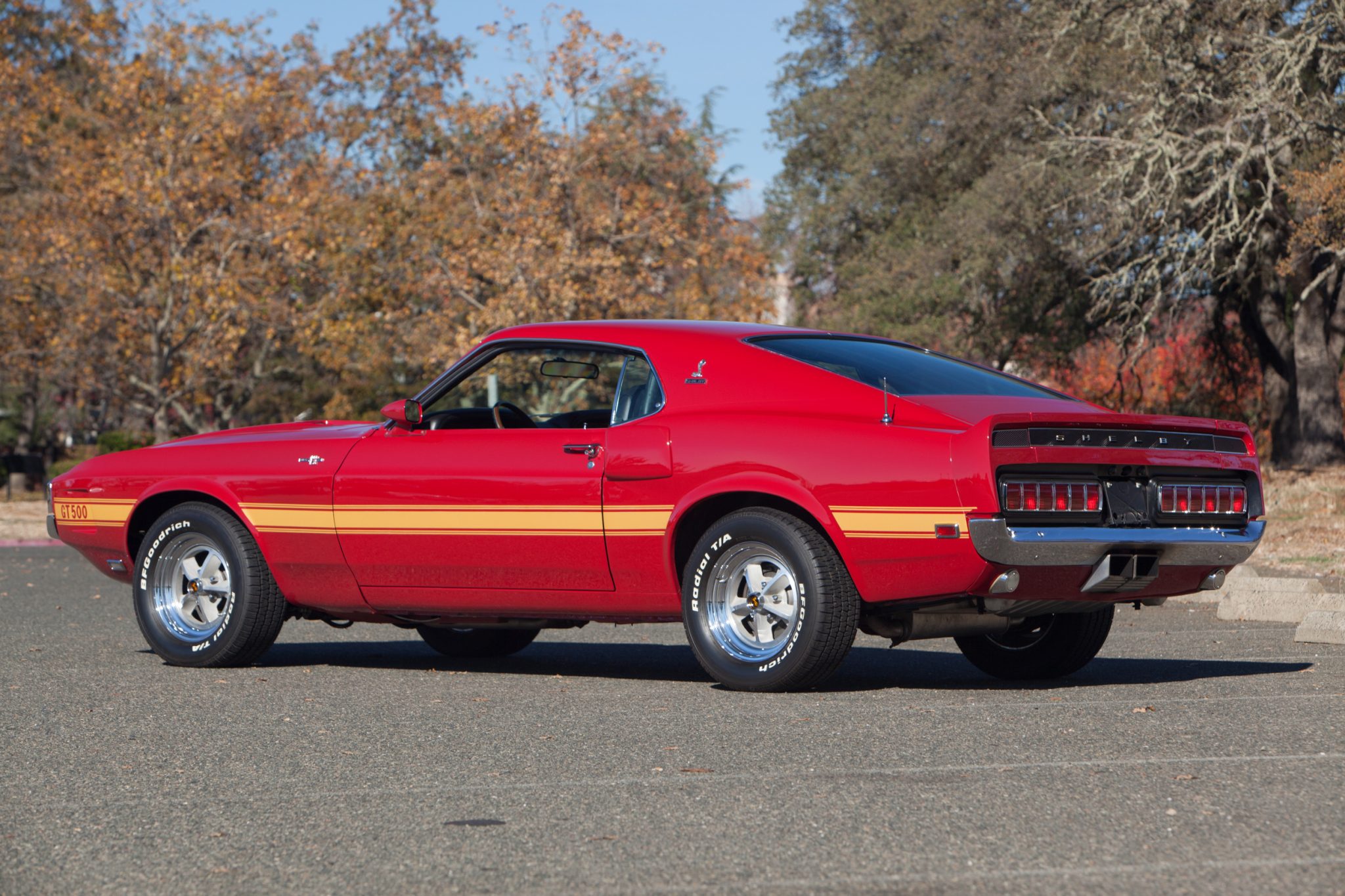 Shelby Mustang GT350 & GT500 