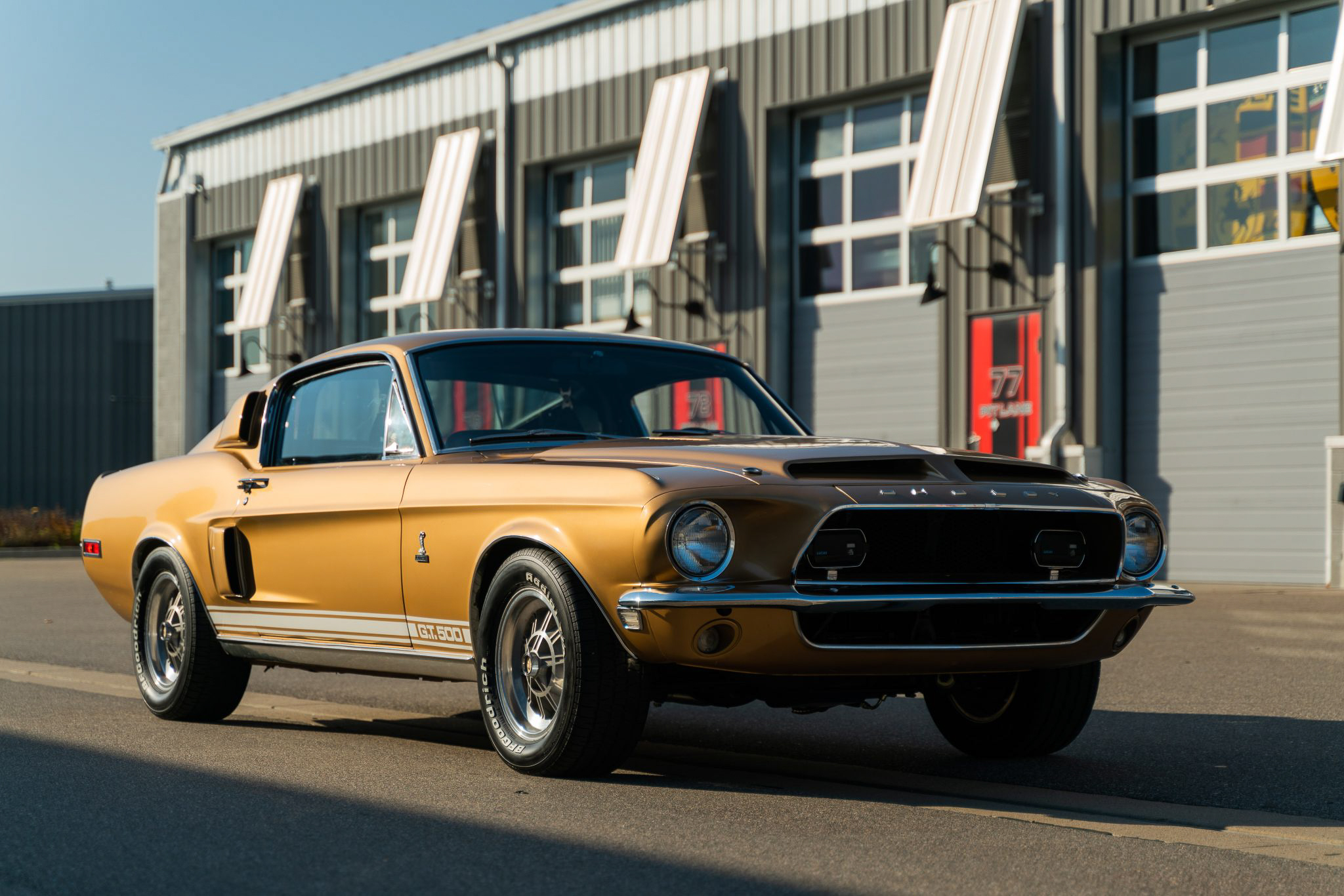 Shelby Mustang GT350 & GT500 