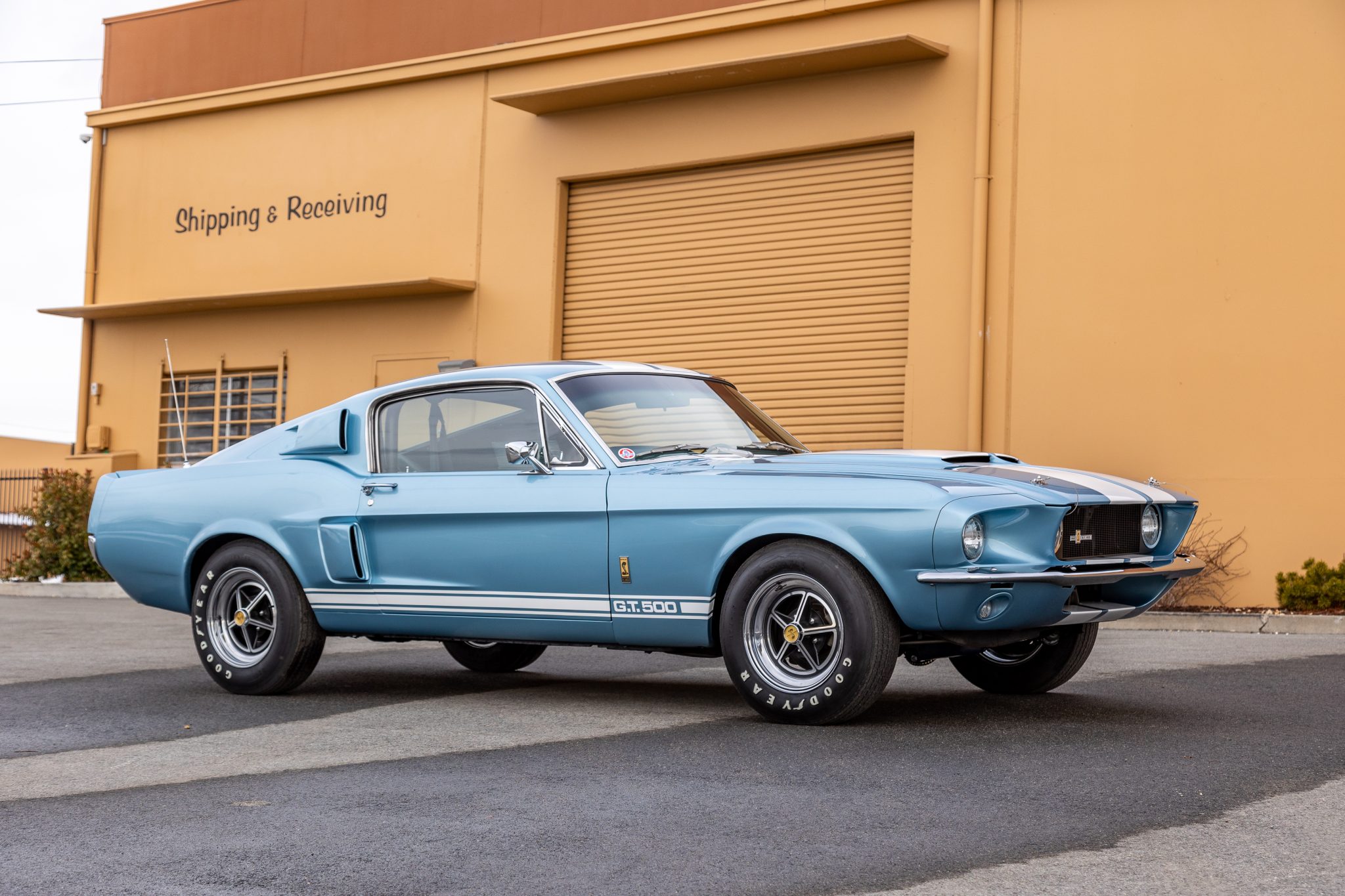 Shelby Mustang GT350 & GT500 