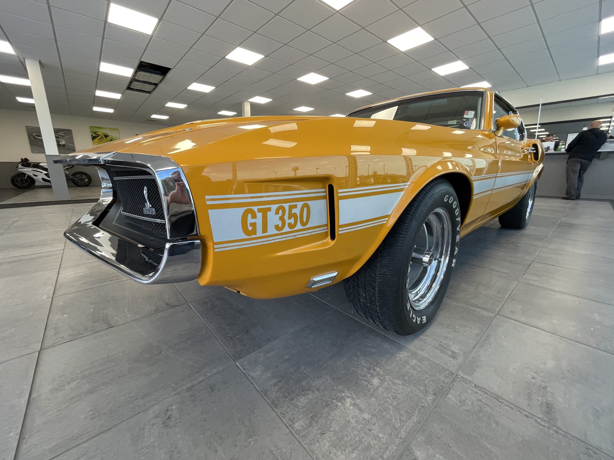 Shelby Mustang GT350 & GT500 