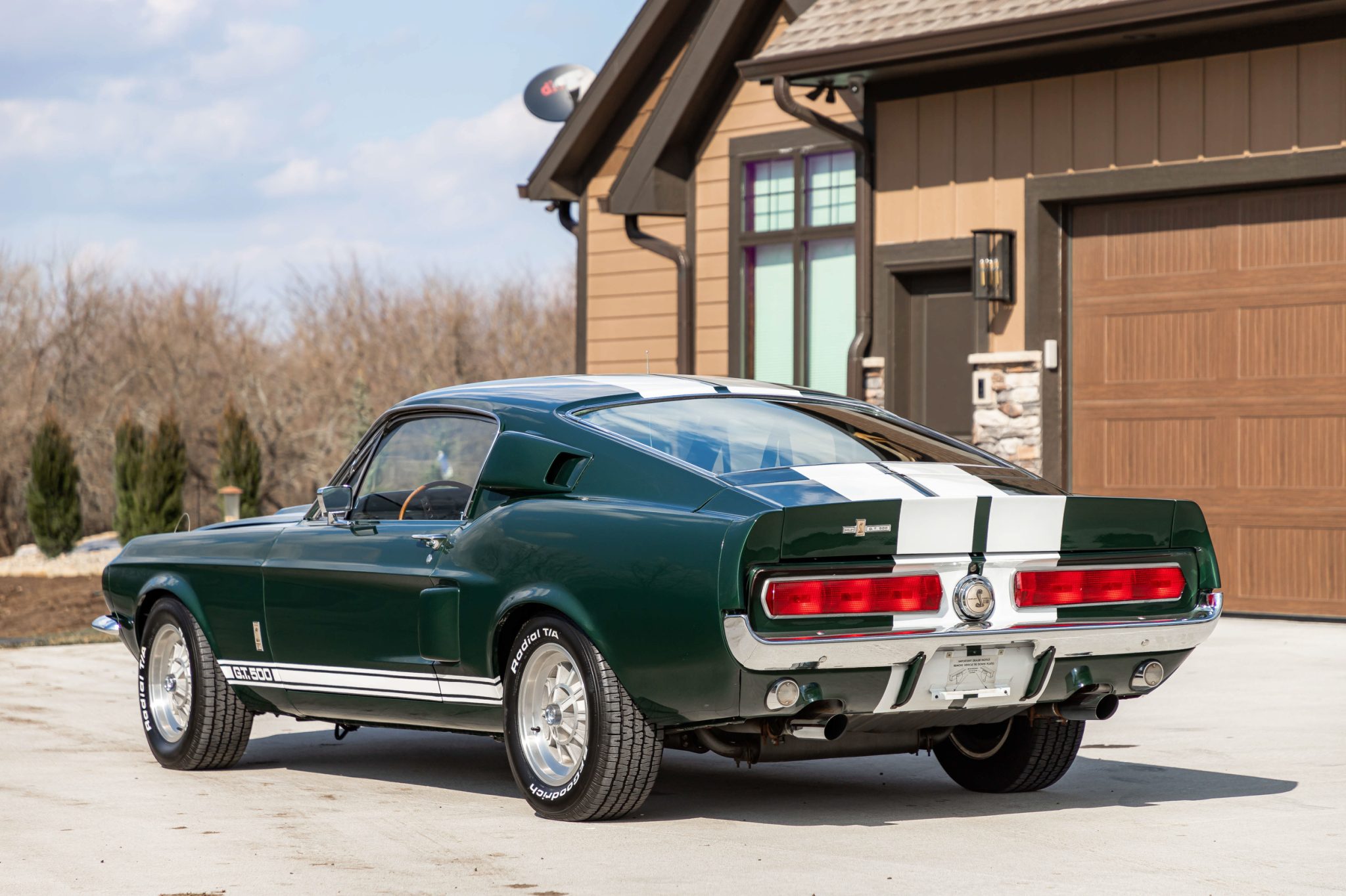 Shelby Mustang GT350 & GT500 