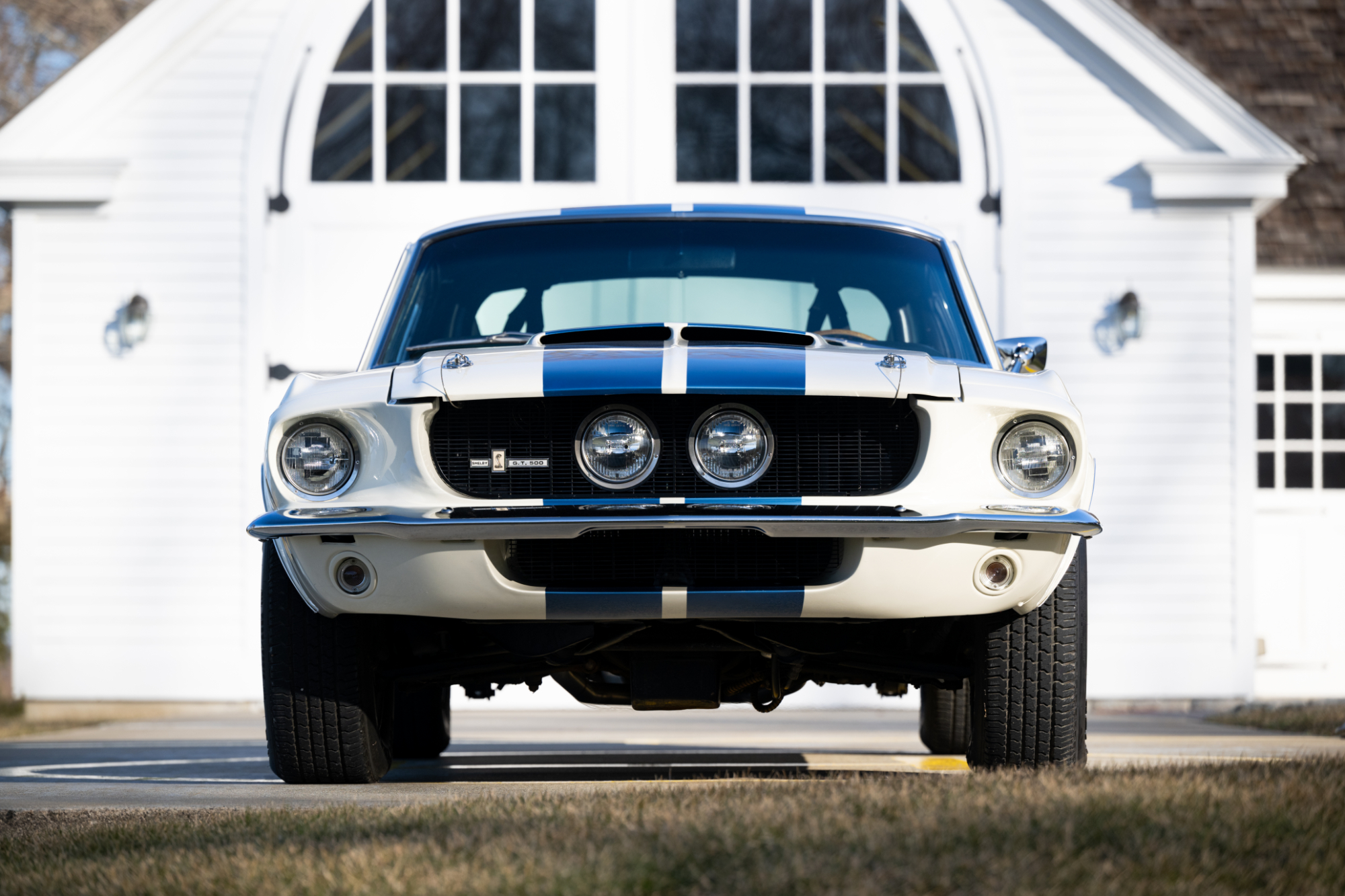 Shelby Mustang GT350 & GT500 