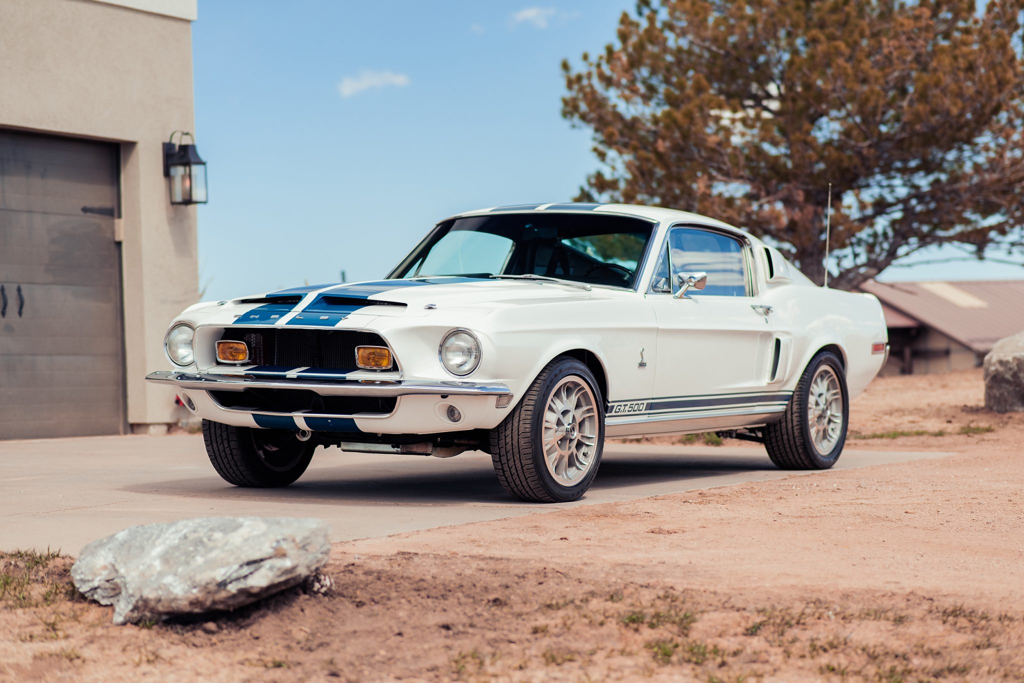 Shelby Mustang GT350 & GT500 
