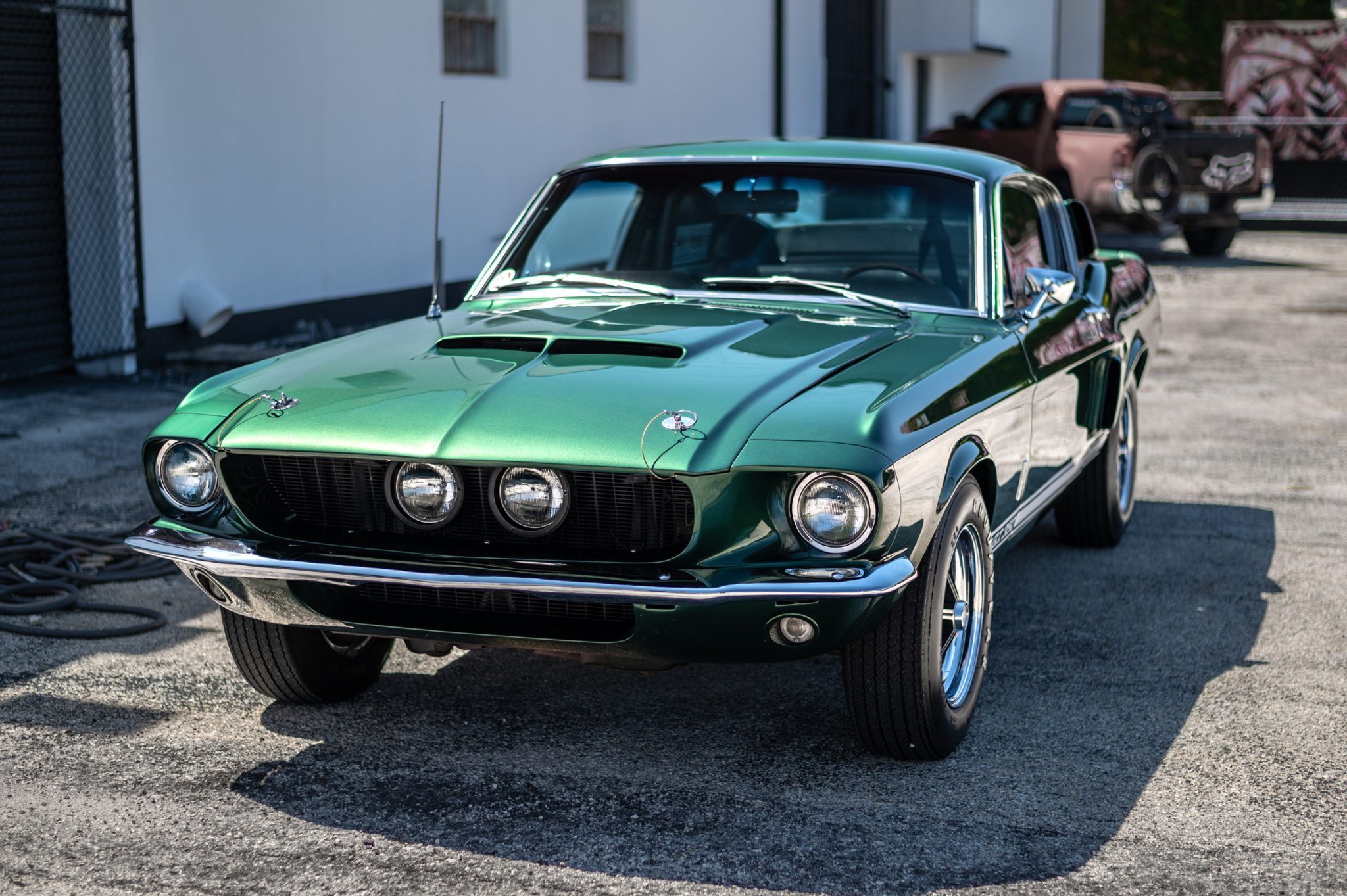 Shelby Mustang GT350 & GT500 
