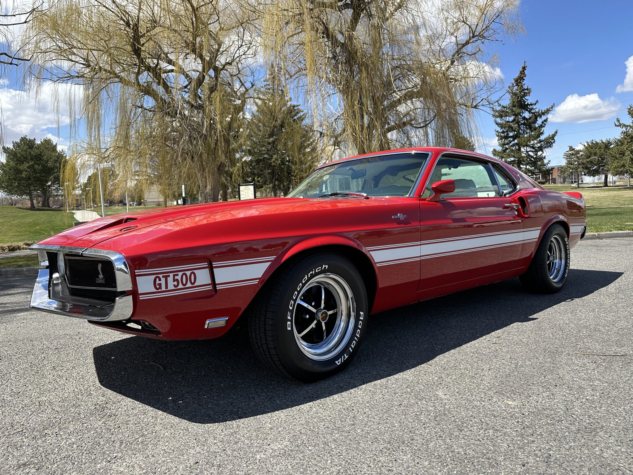 Shelby Mustang GT350 & GT500 