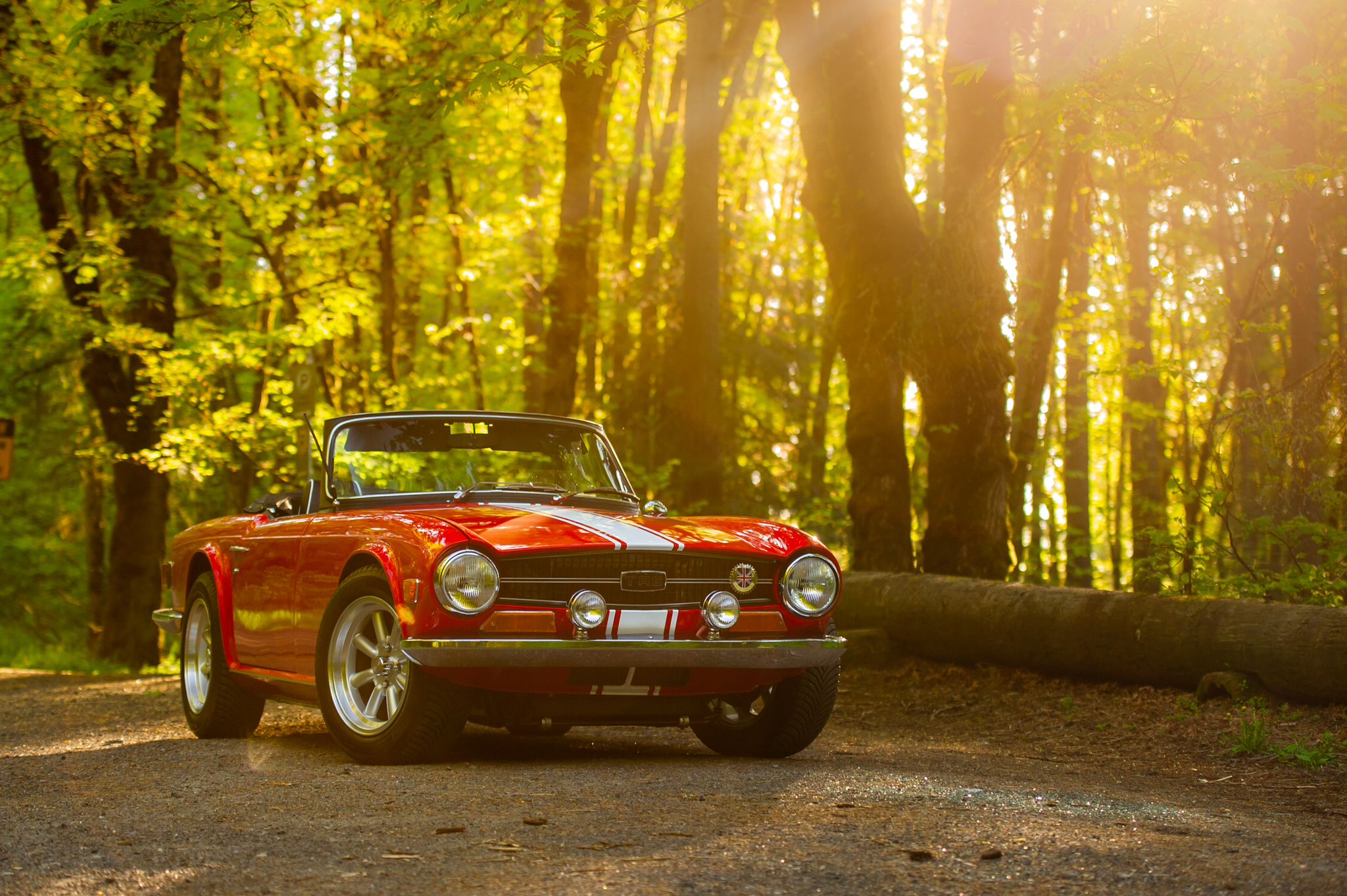 Triumph TR6 