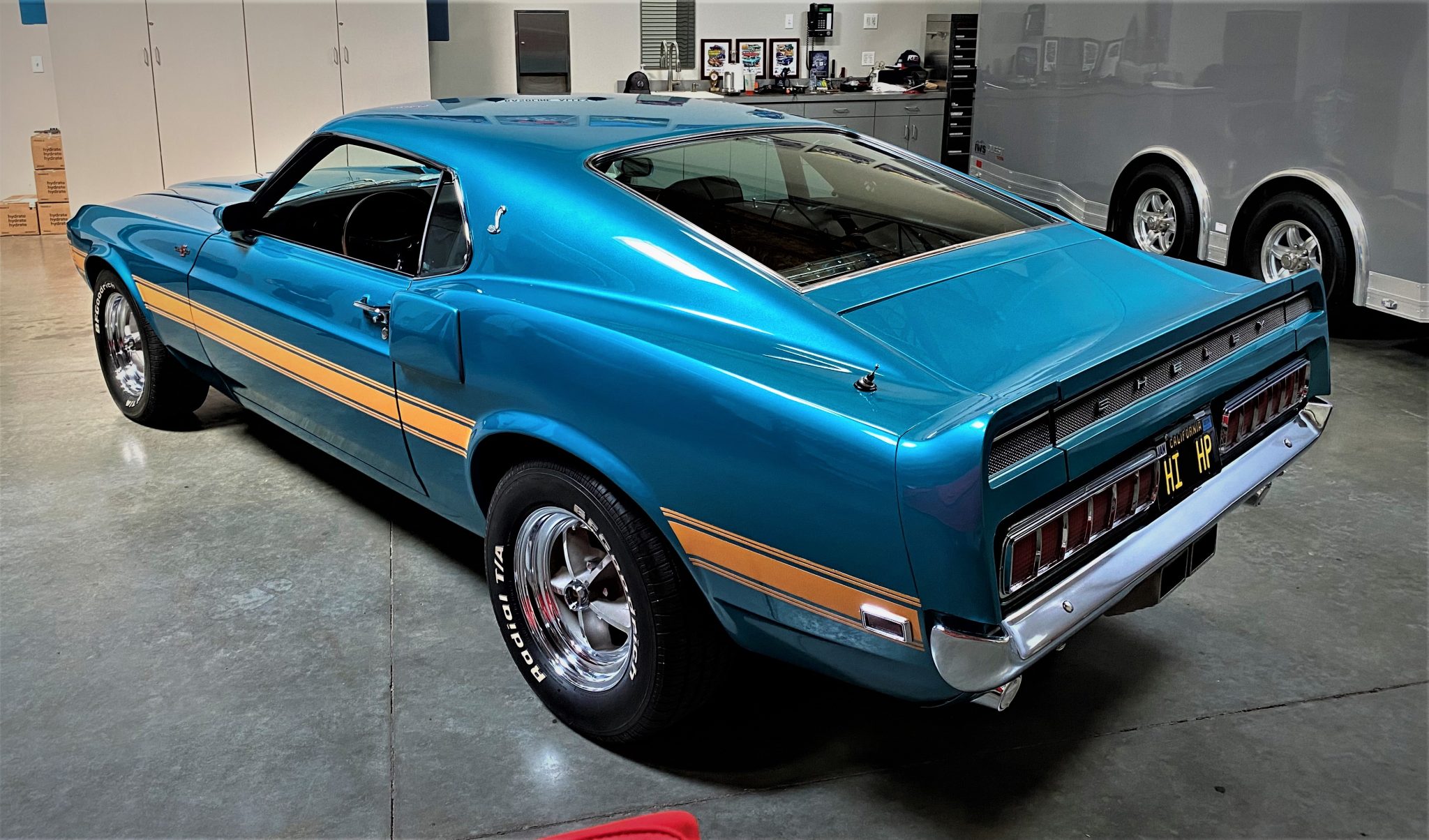 Shelby Mustang GT350 & GT500 