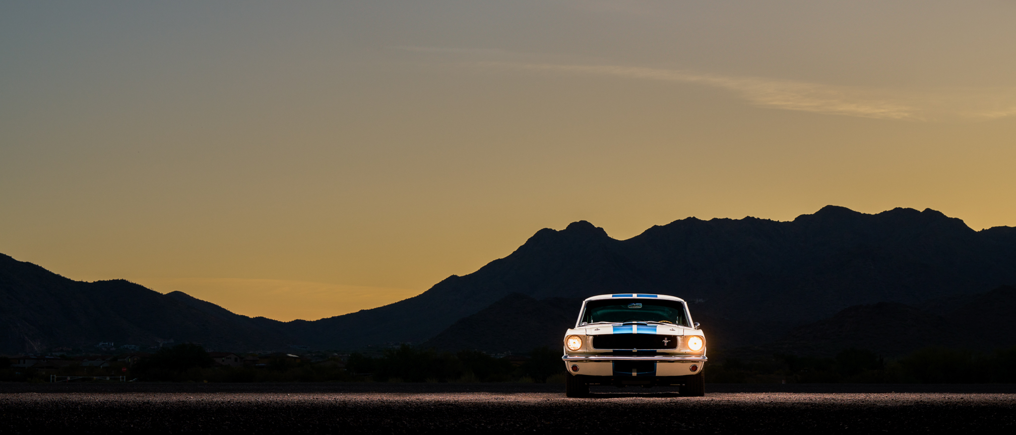 Shelby Mustang GT350 & GT500 