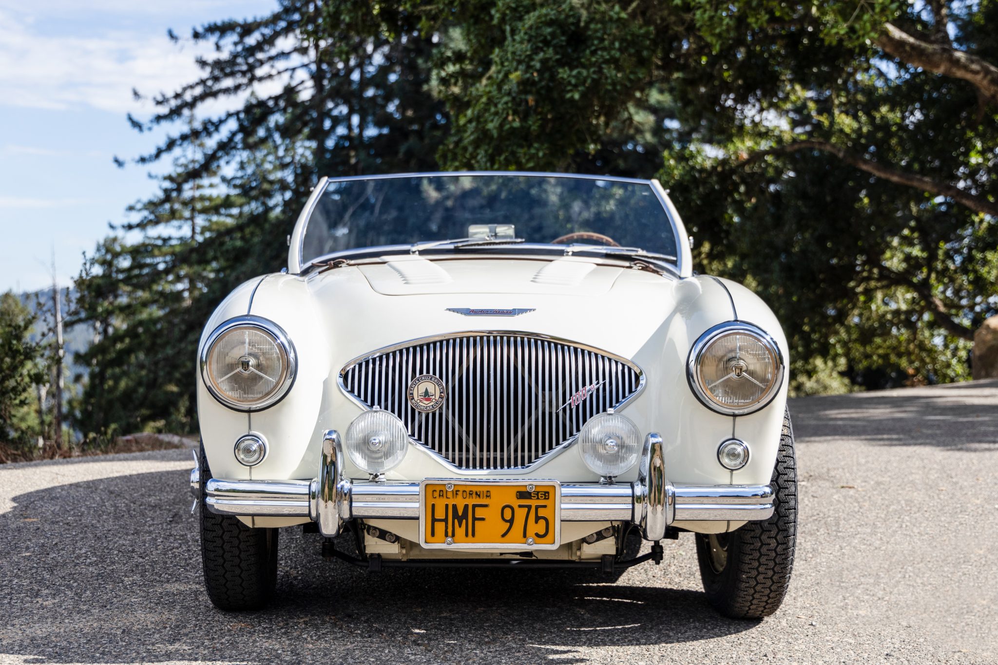 Austin-Healey 100 