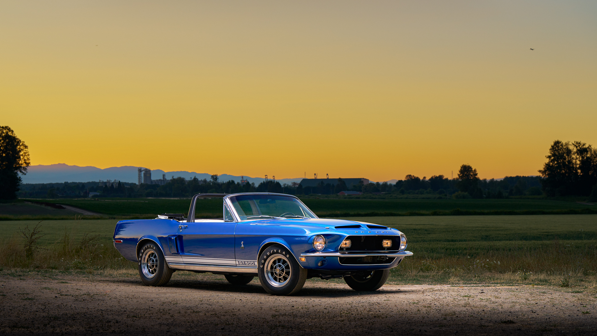 Shelby Mustang GT350 & GT500 