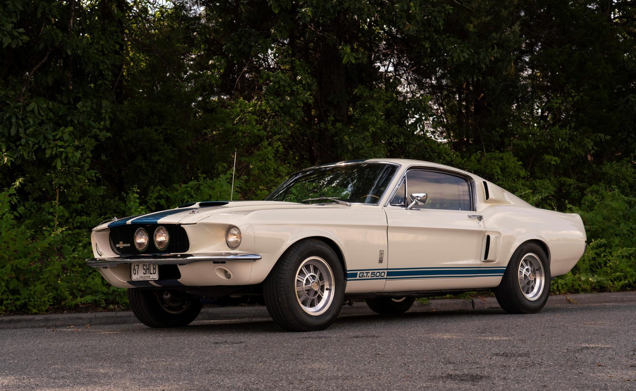 Shelby Mustang GT350 & GT500 