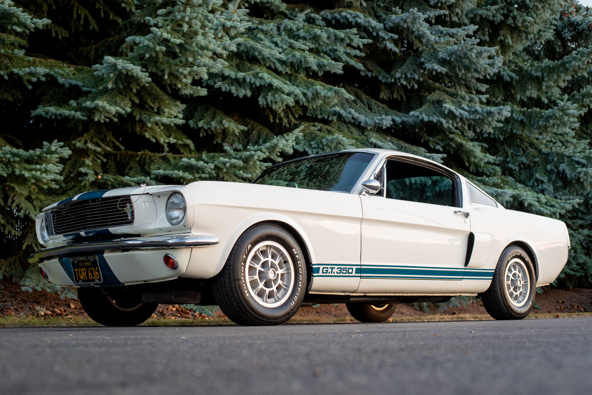 Shelby Mustang GT350 & GT500 