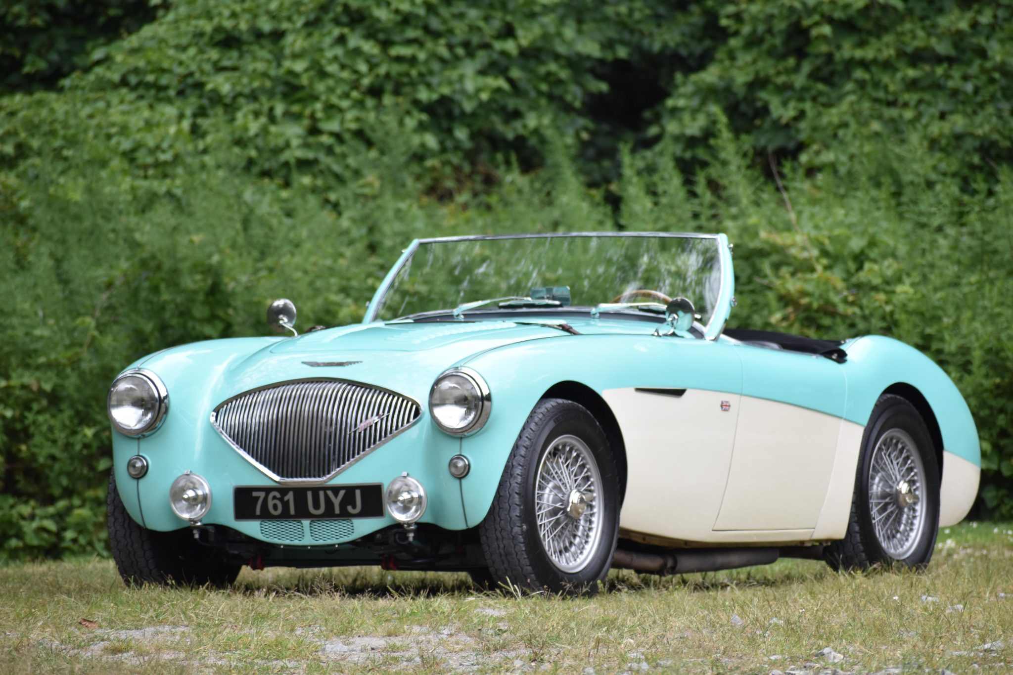 Austin-Healey 100 