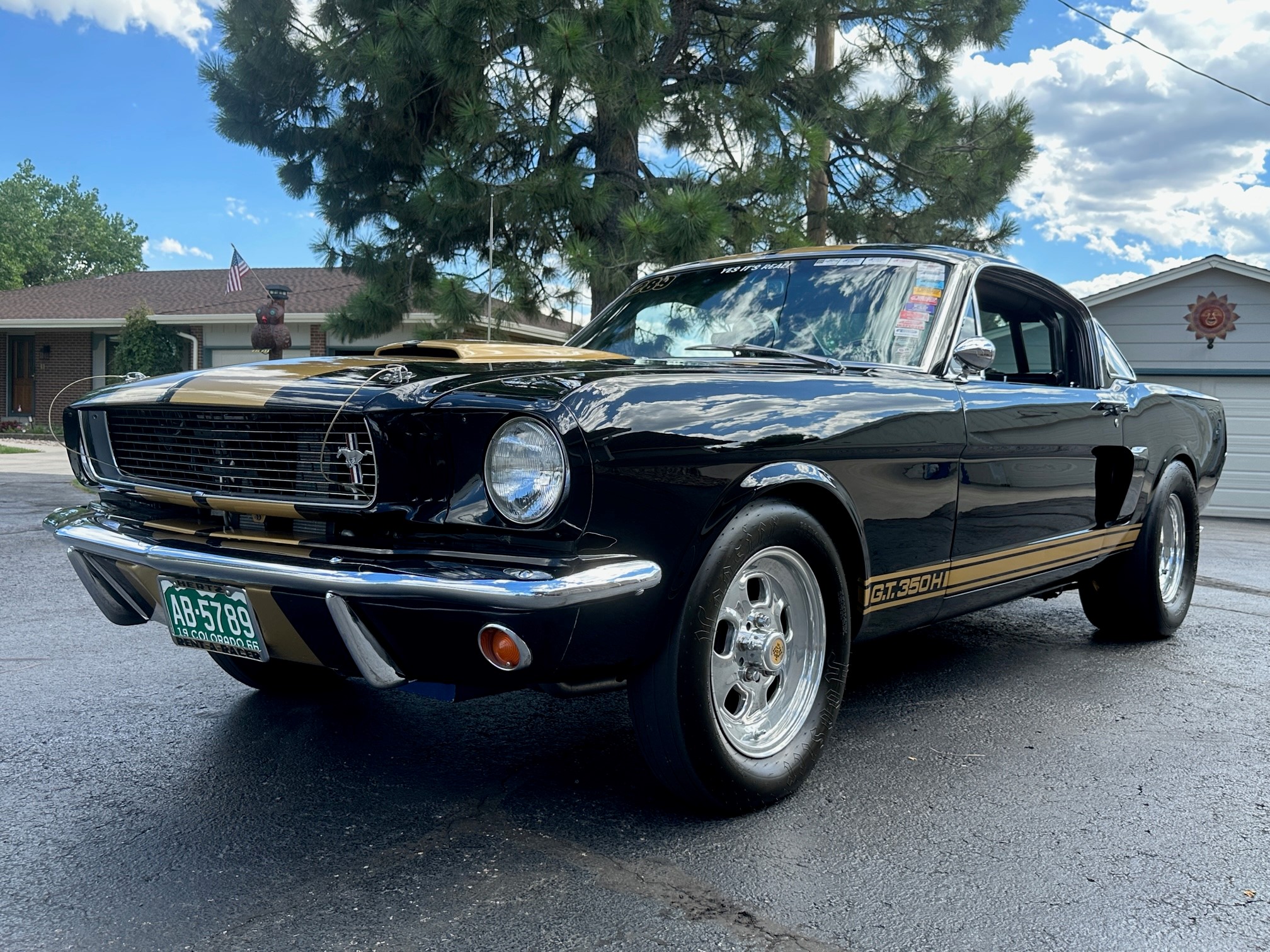 Shelby Mustang GT350 & GT500 