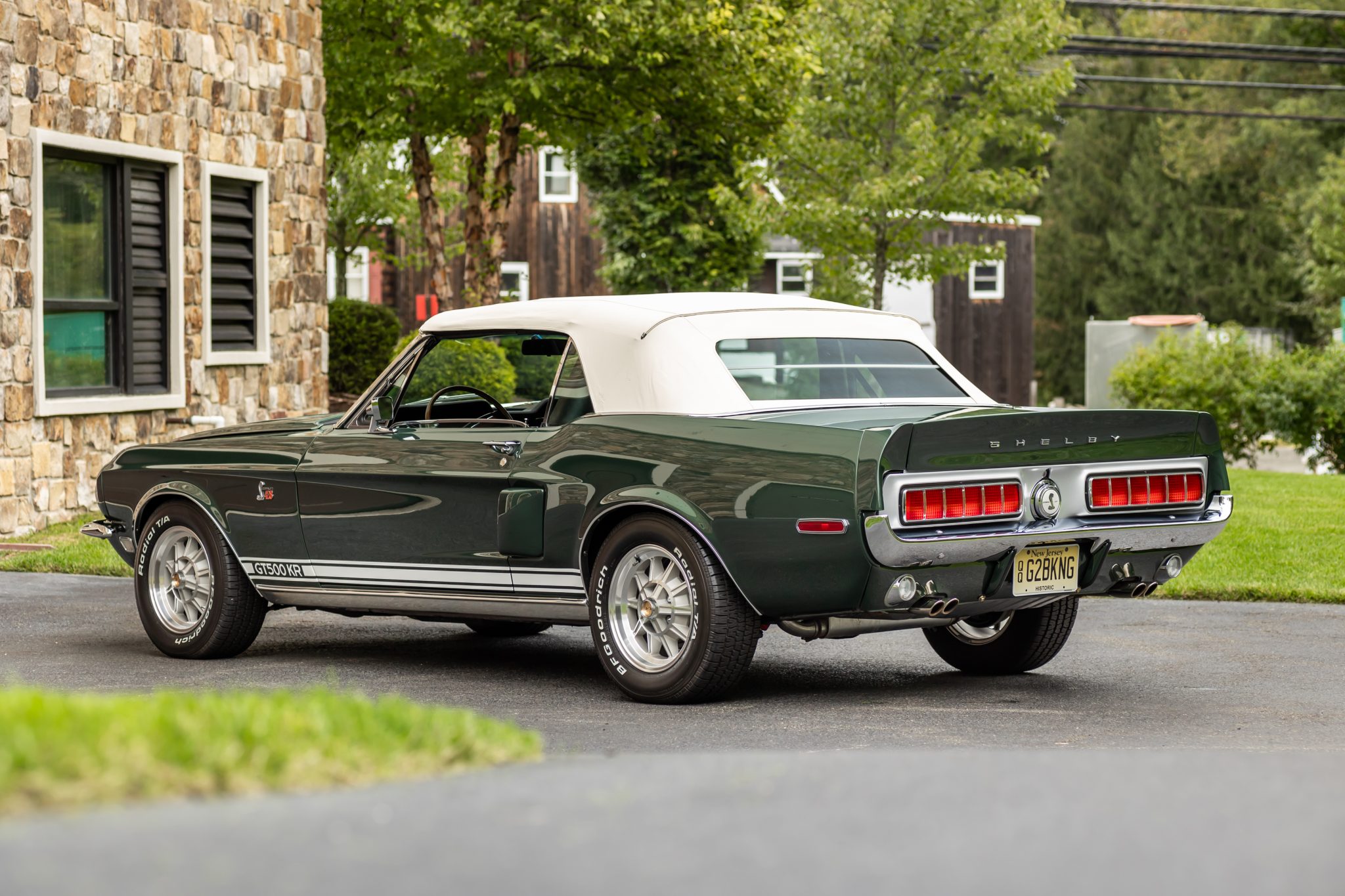 Shelby Mustang GT350 & GT500 